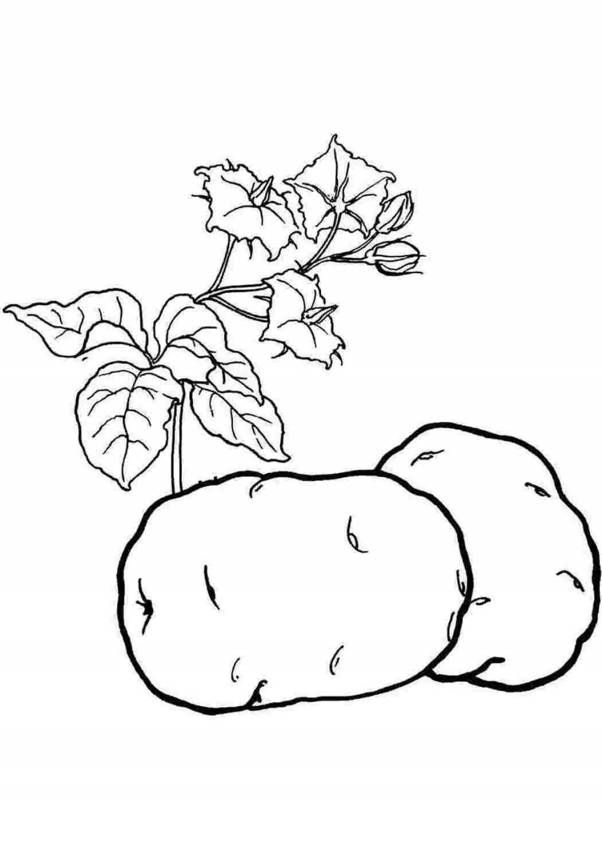 Glowing squash coloring page