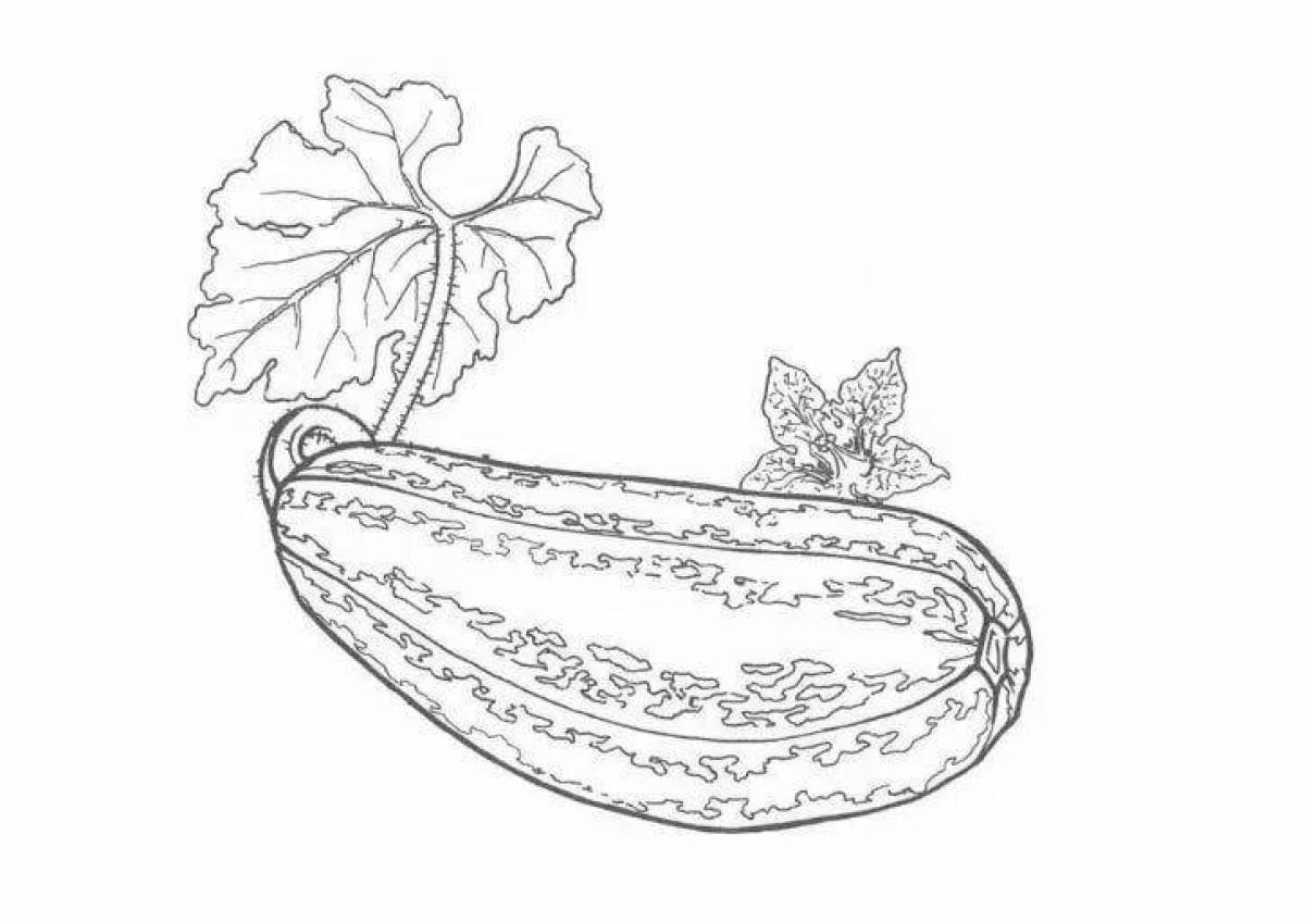 Bold squash coloring page