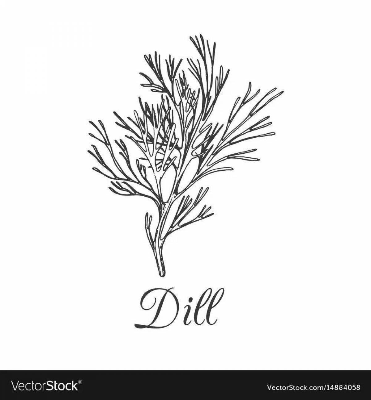 Colouring cheerful dill