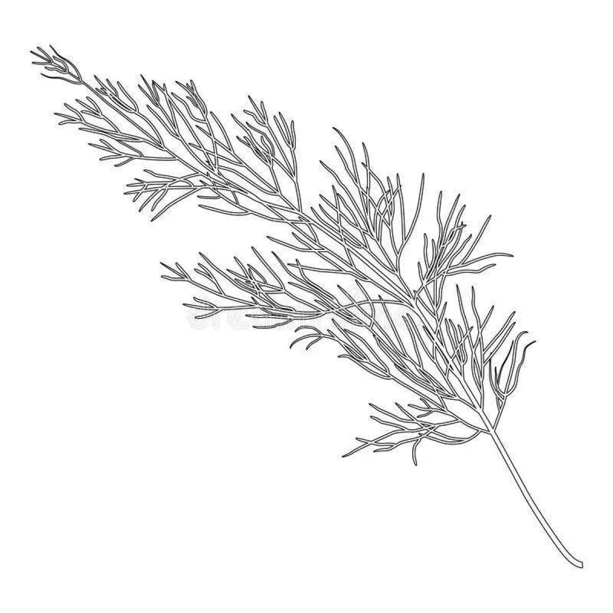 Playful dill coloring page