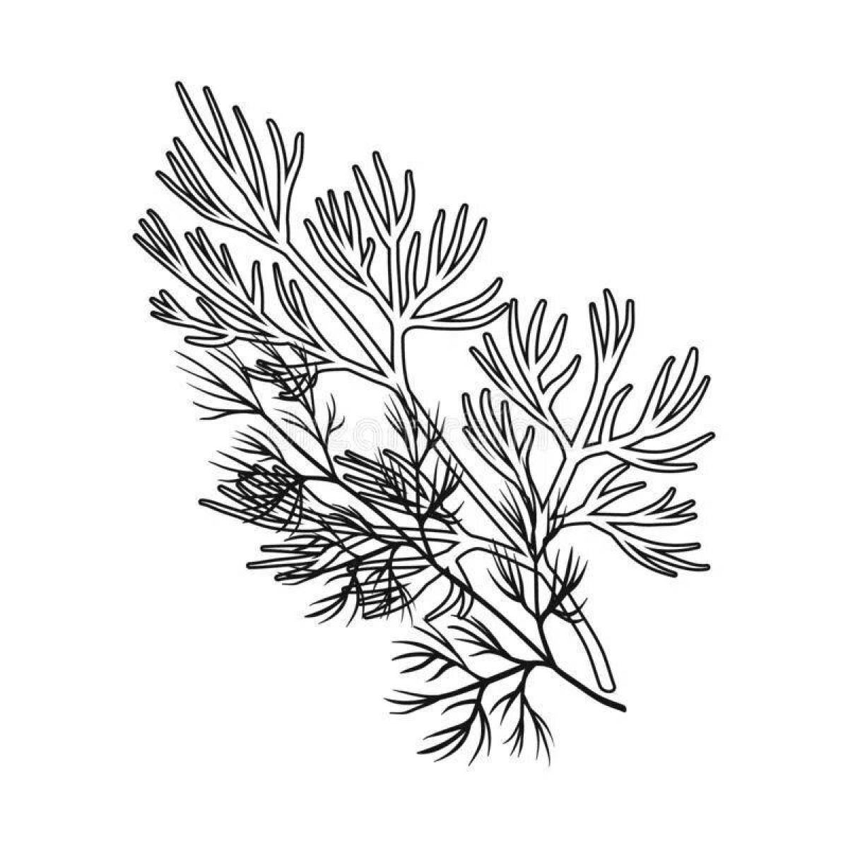 Glorious dill coloring page