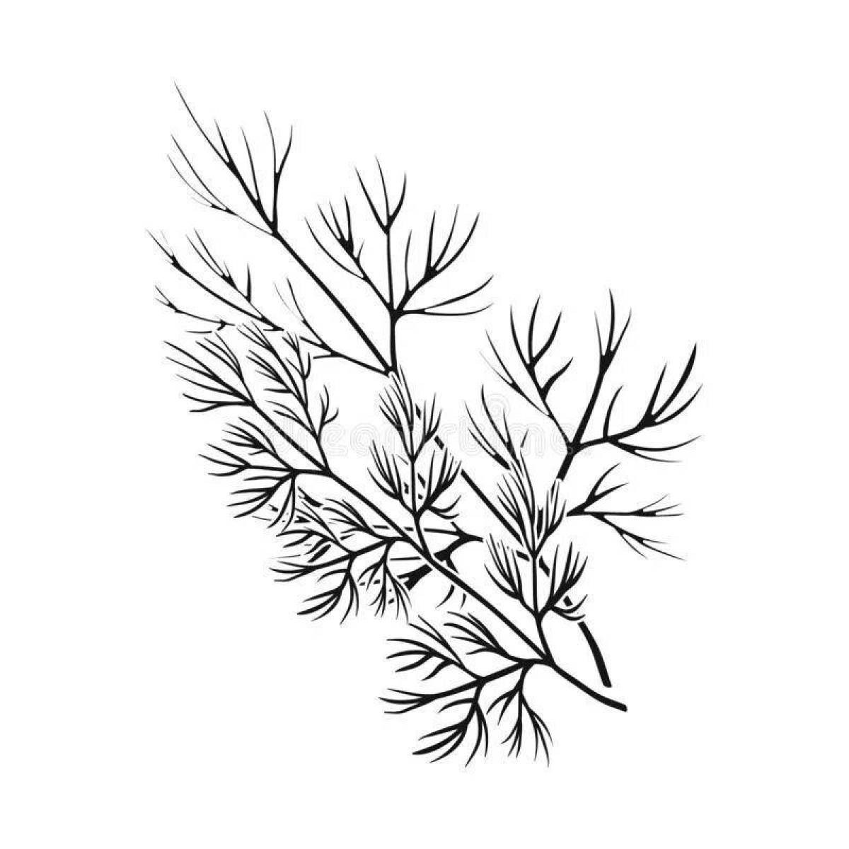 Gorgeous dill coloring book