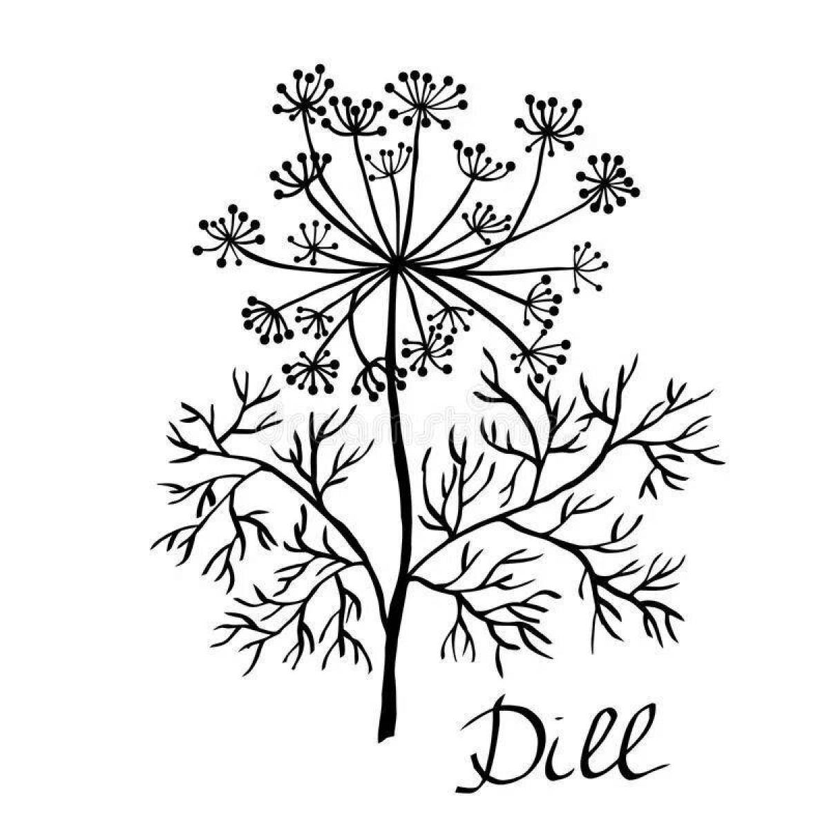 Fantastic dill coloring page