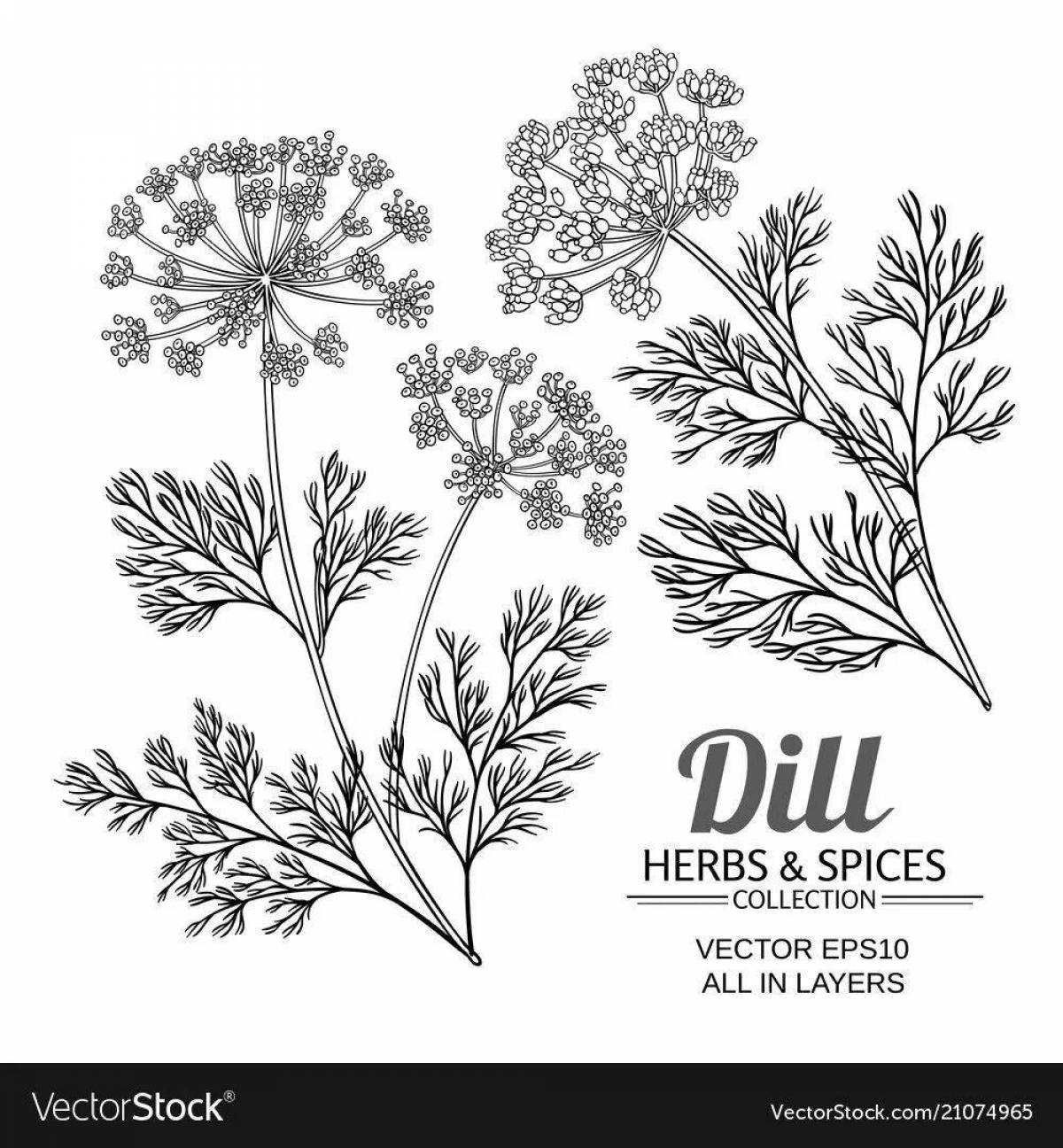 Coloring page wonderful dill
