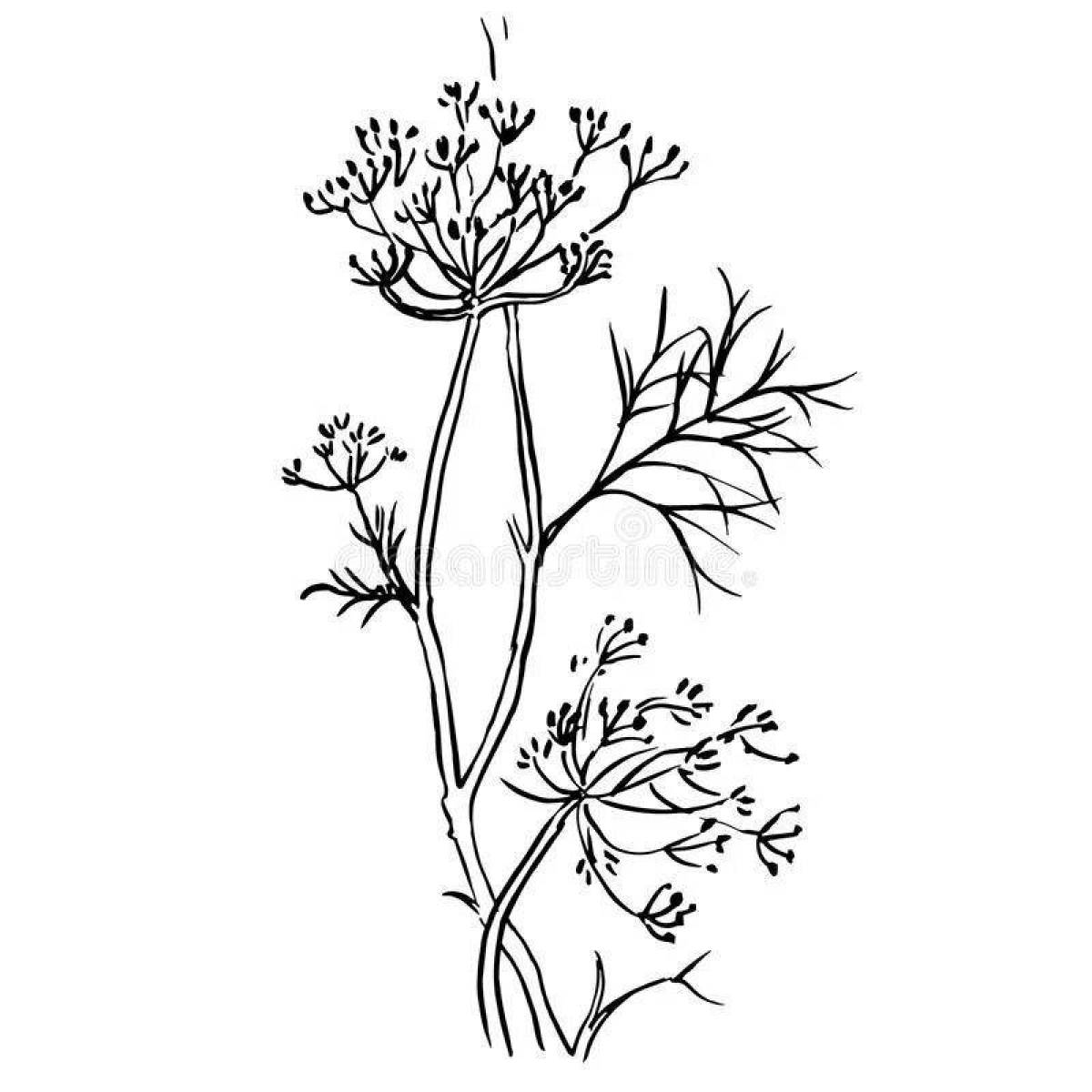Charming dill coloring page