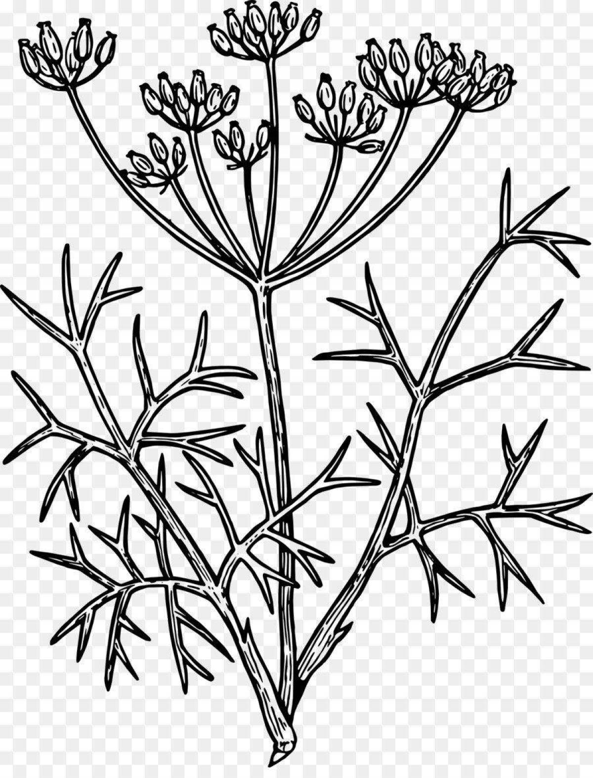 Delightful dill coloring page