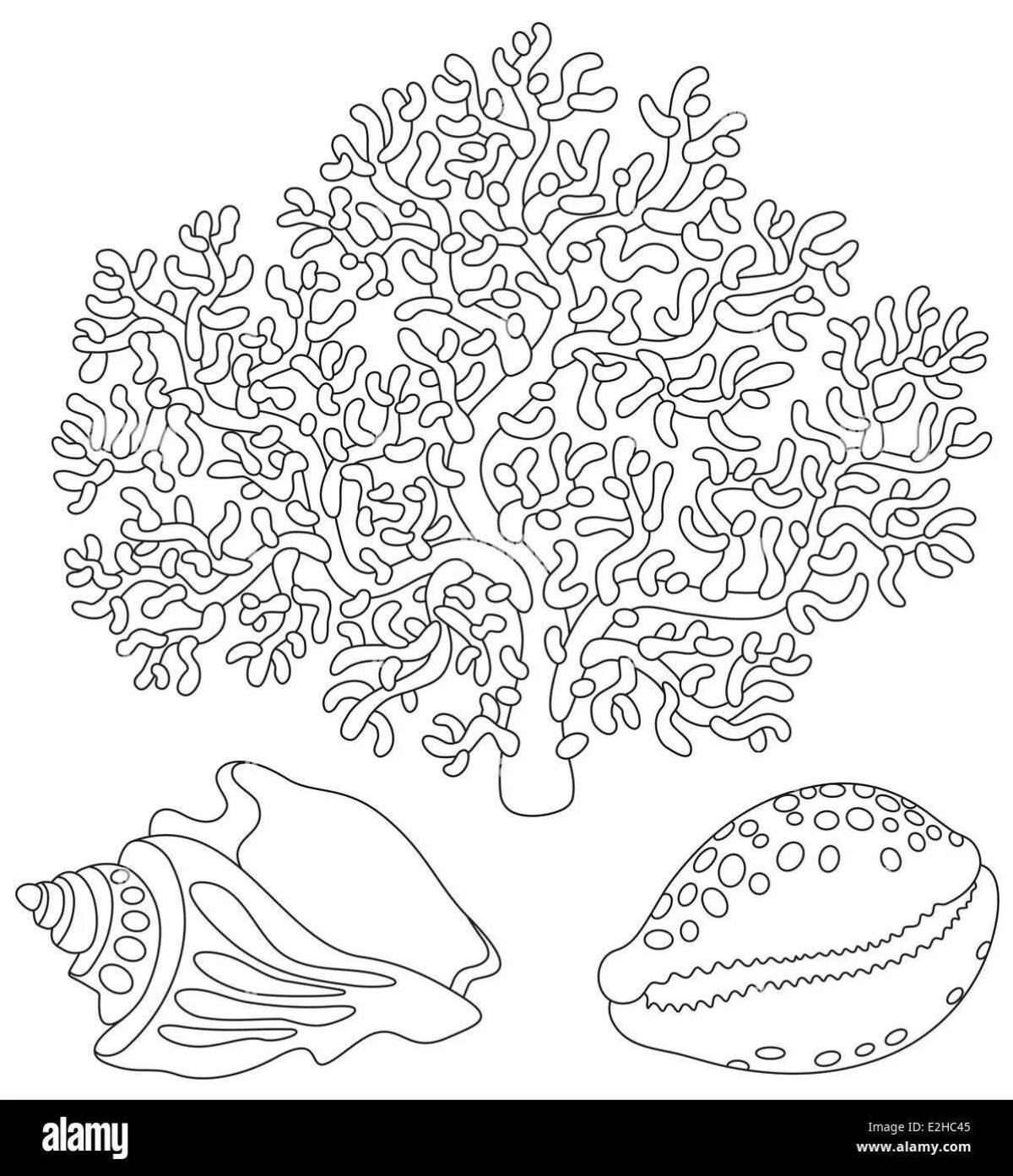 Раскраска «сияющие кораллы»