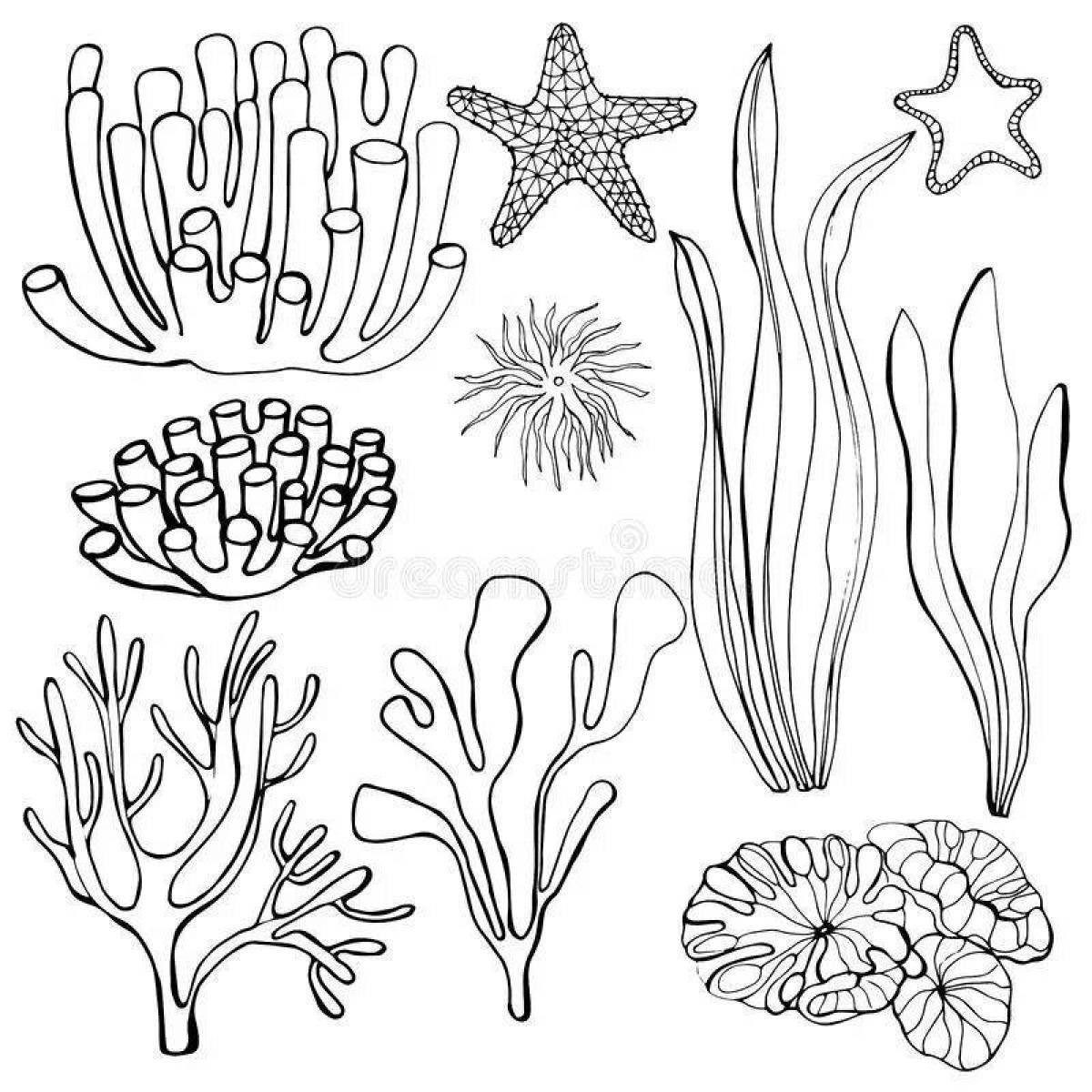Luminous coral coloring pages