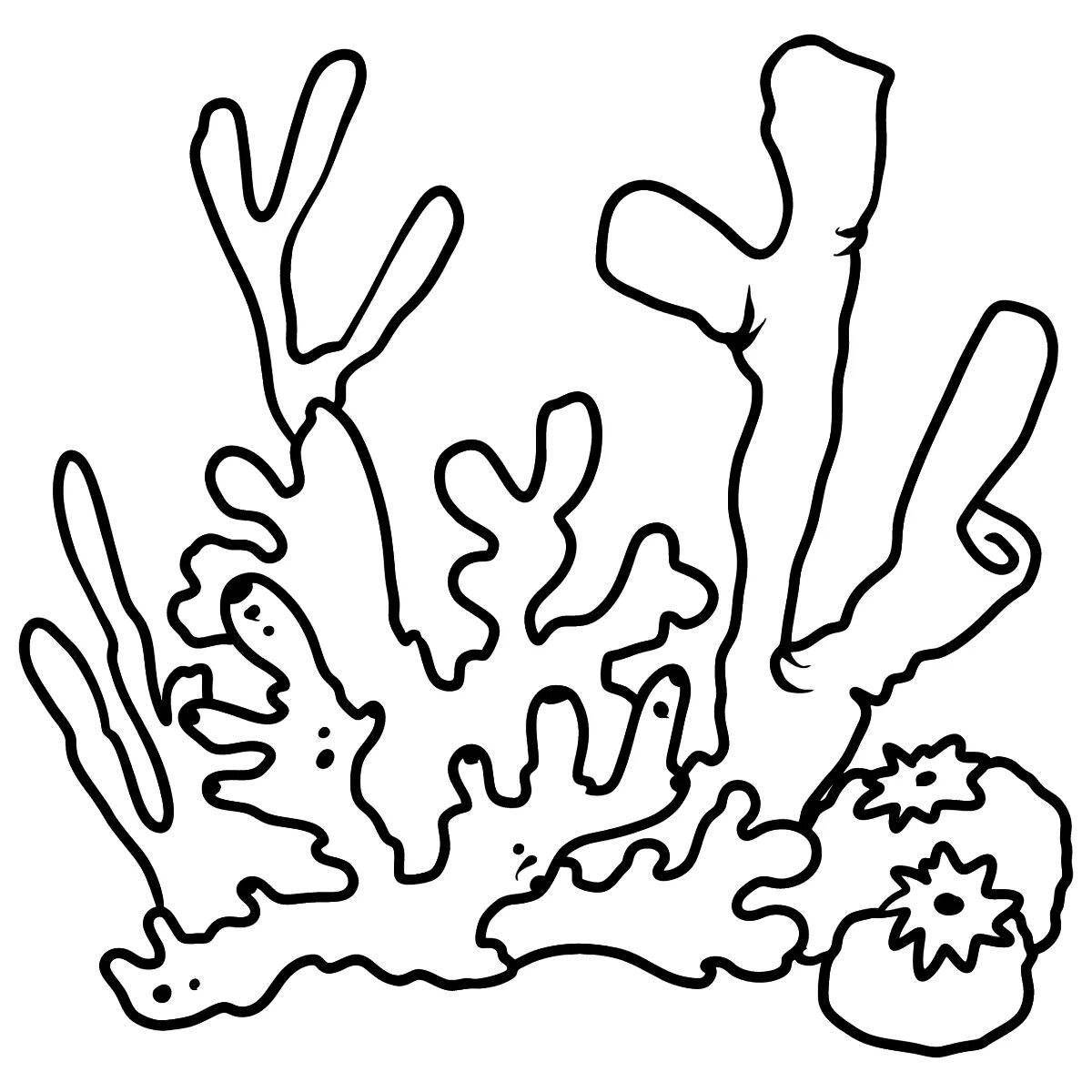 Great coral coloring book