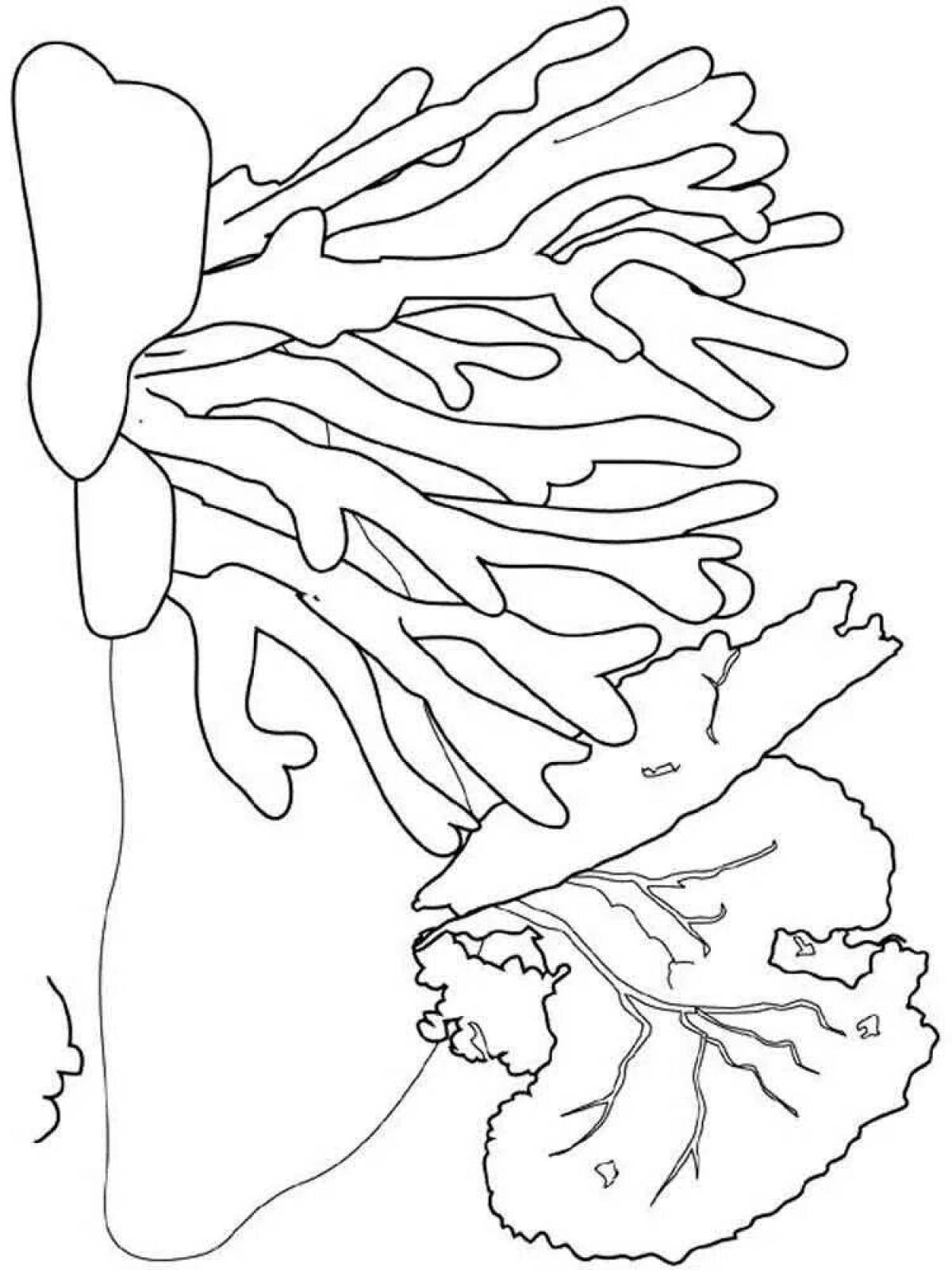 Tempting coral coloring pages