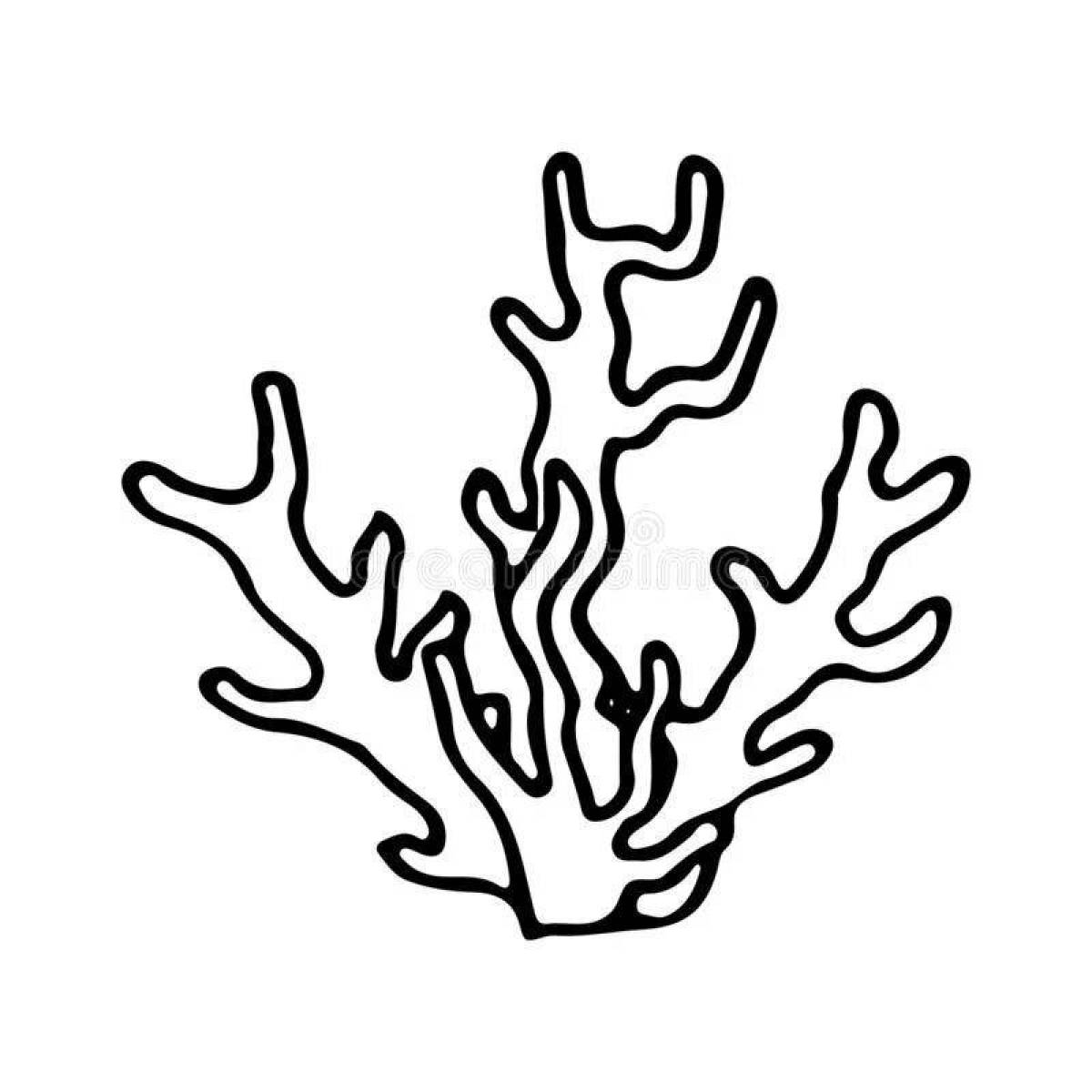 Exotic coral coloring pages