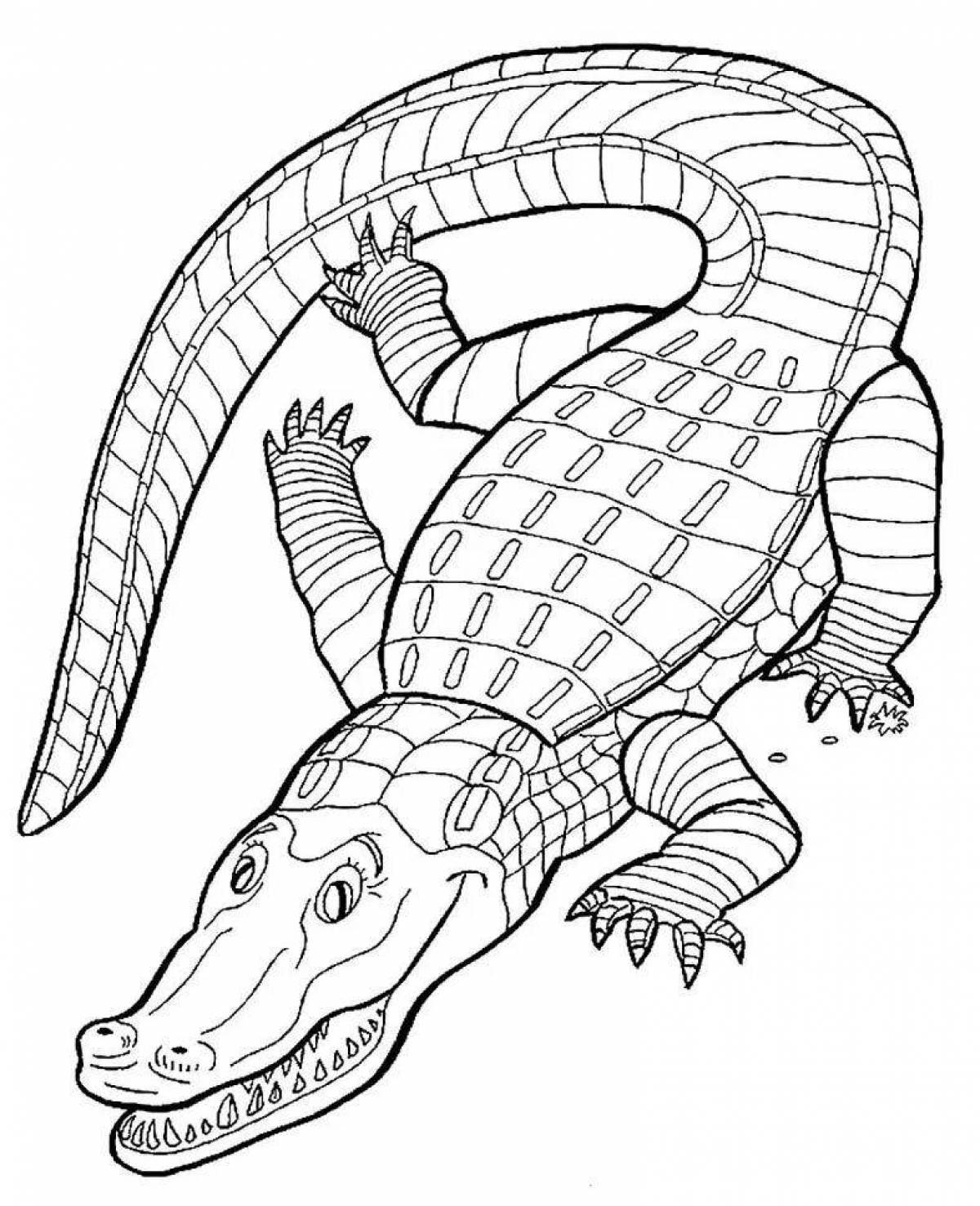 Coloring book gorgeous crocodile