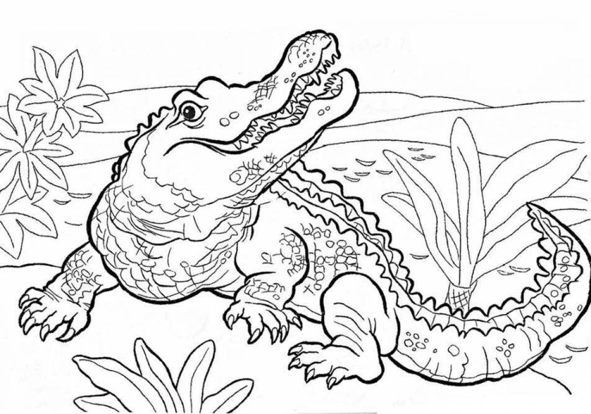 Fancy coloring crocodile