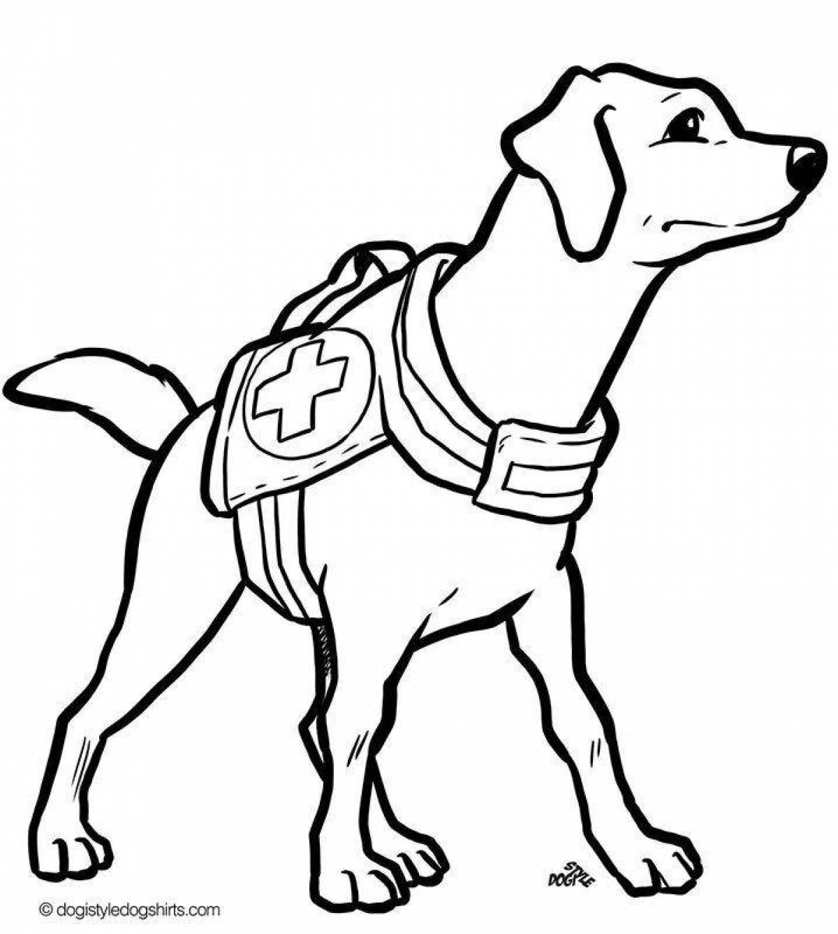 Раскраска Военная собака
