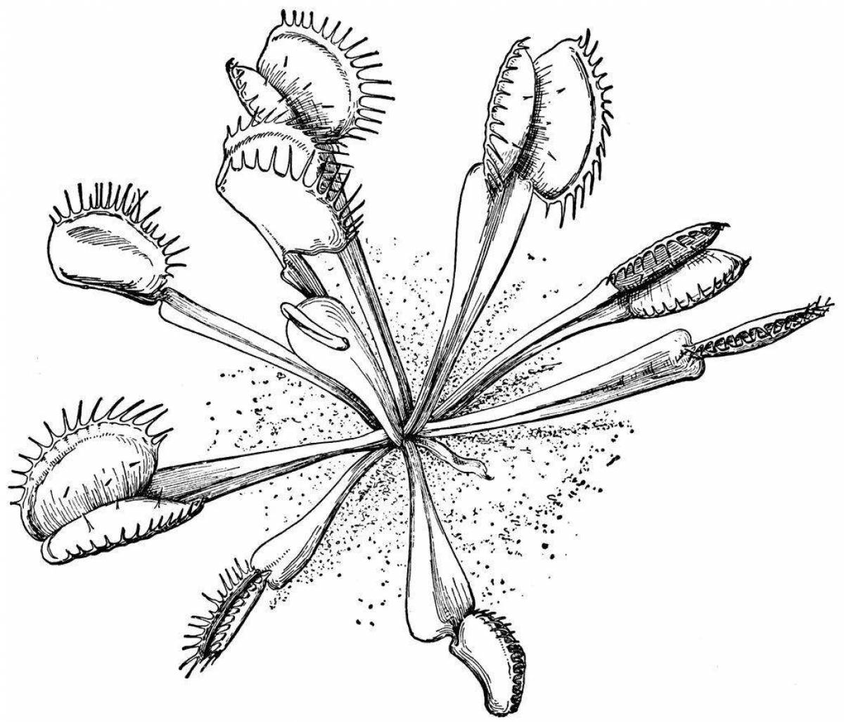 Venus flytrap coloring book