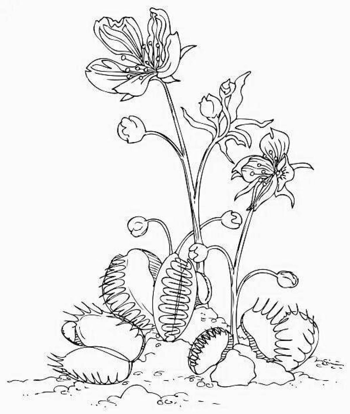 Adorable venus flytrap coloring page