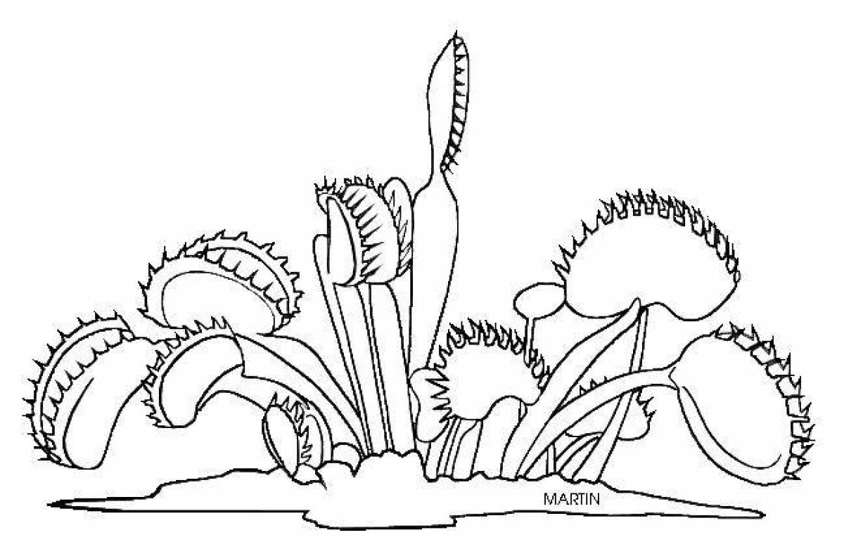 Amazing venus flytrap coloring book