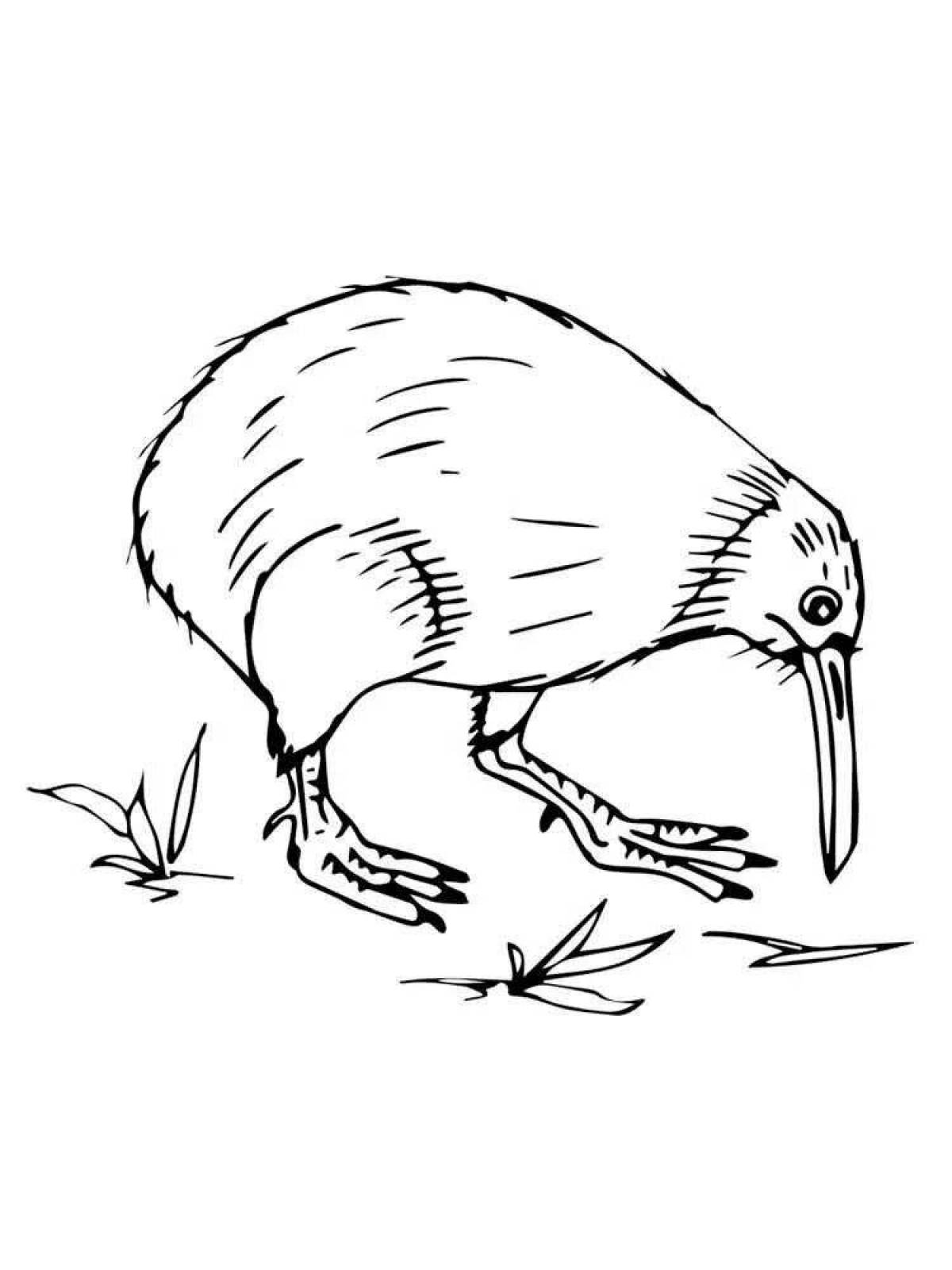 Joyful kiwi bird coloring book