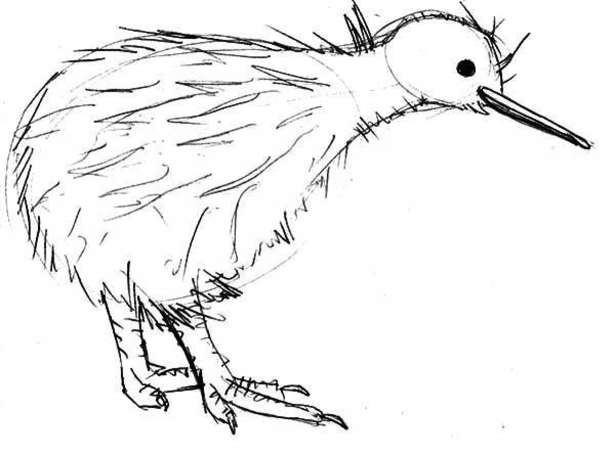 Cute kiwi bird coloring page