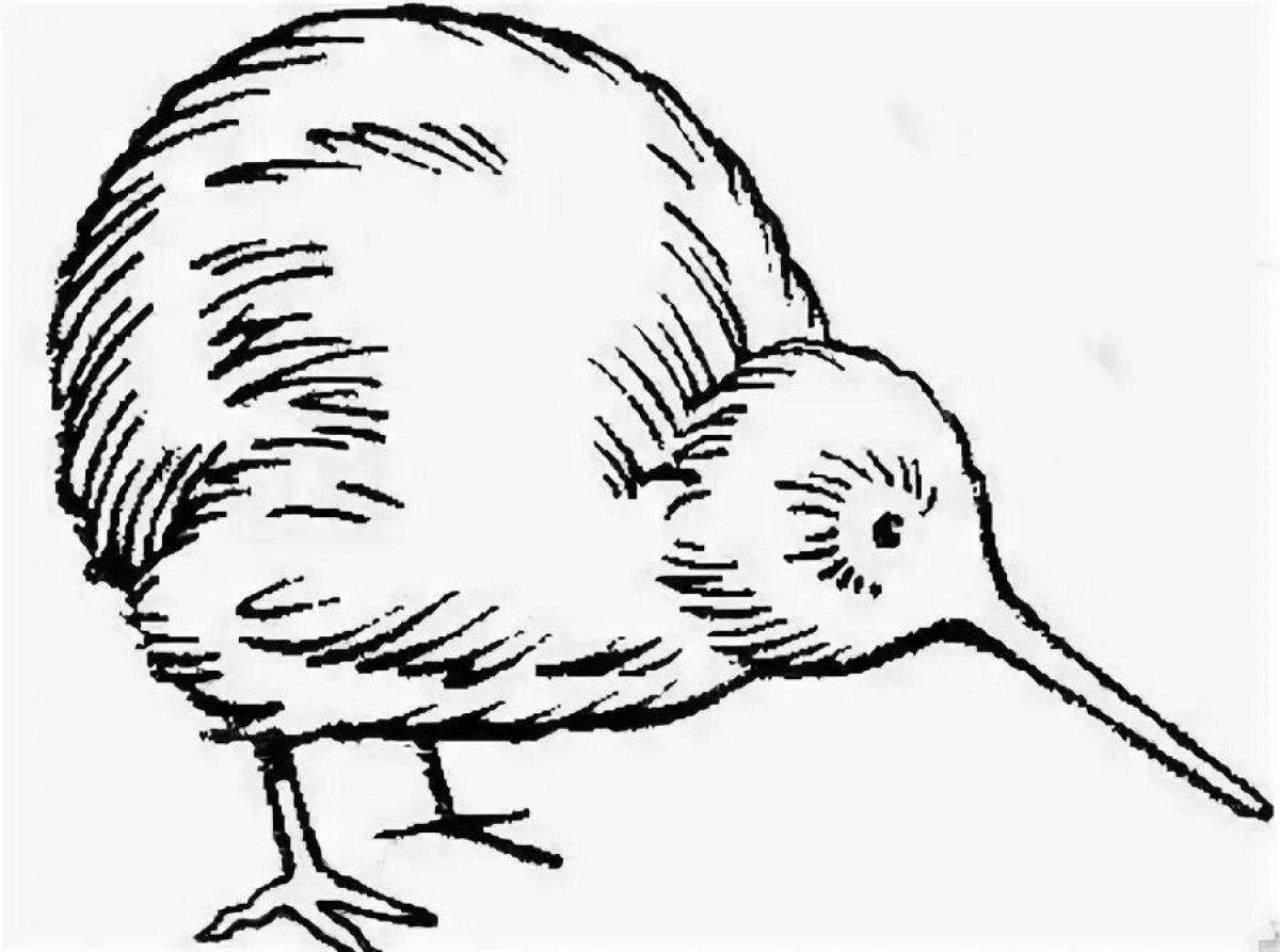 Lovely kiwi bird coloring page