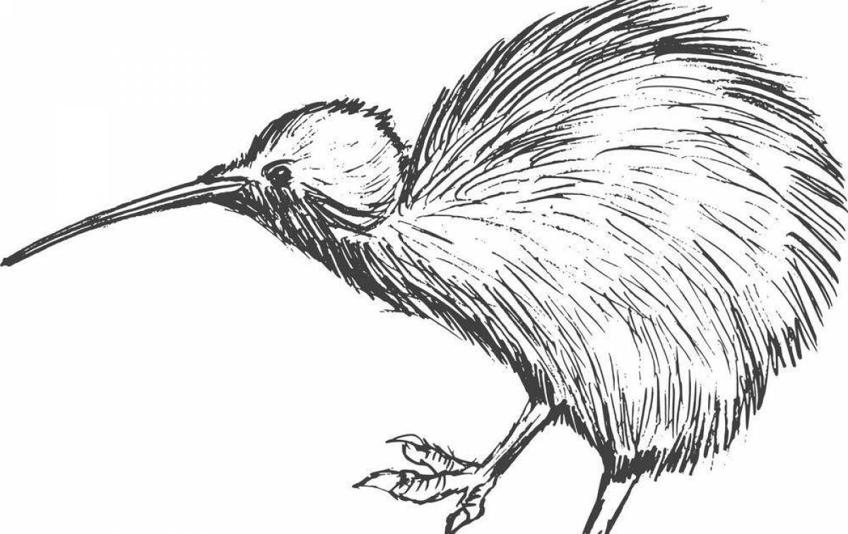 Violent kiwi bird coloring book