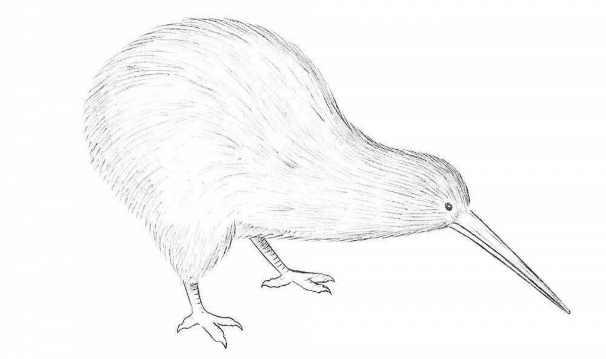 Fun coloring kiwi bird