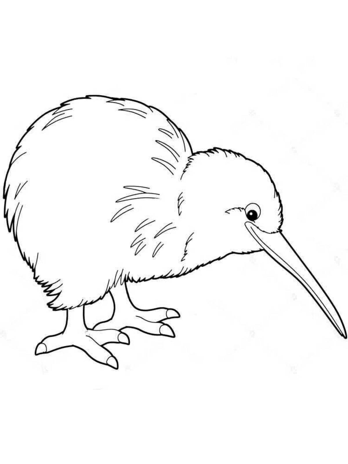 Attractive kiwi bird coloring page