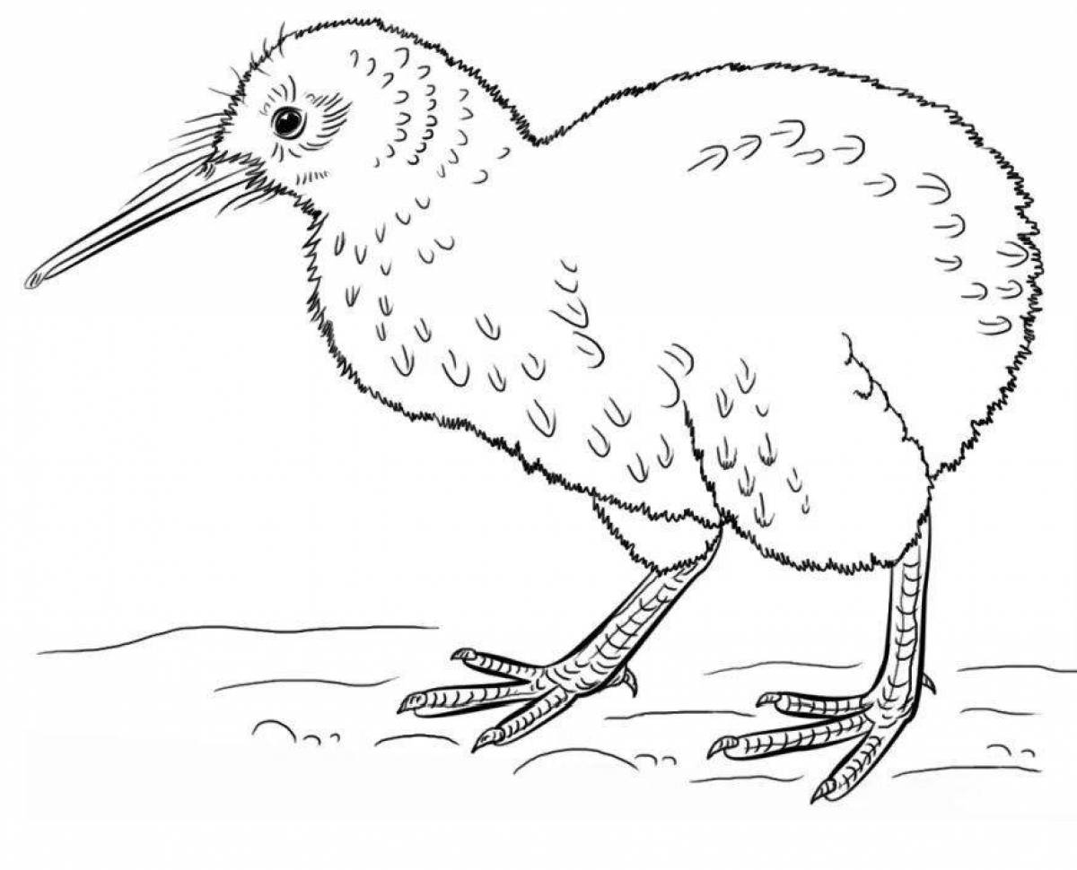 Coloring page magic bird kiwi