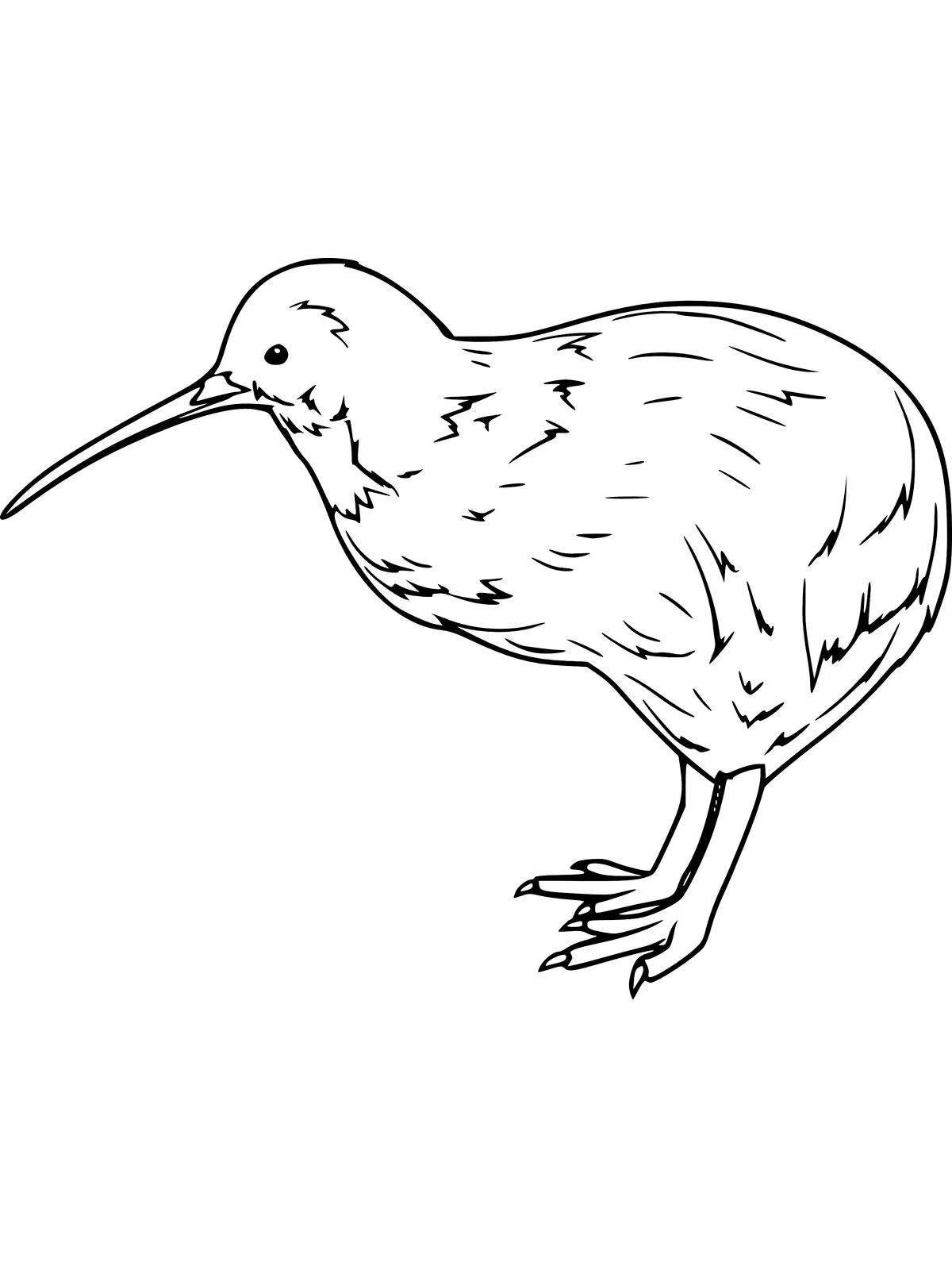 Gorgeous kiwi bird coloring book