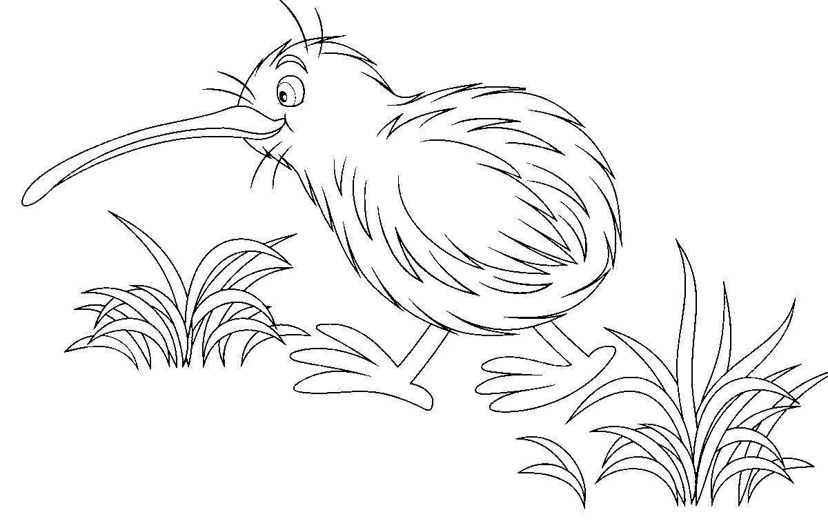 Coloring big bird kiwi