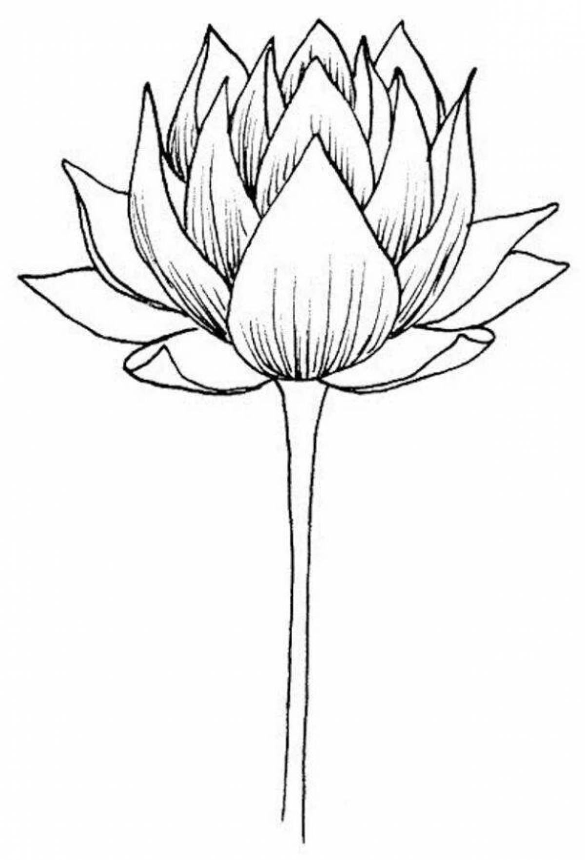 Shining stone flower coloring page