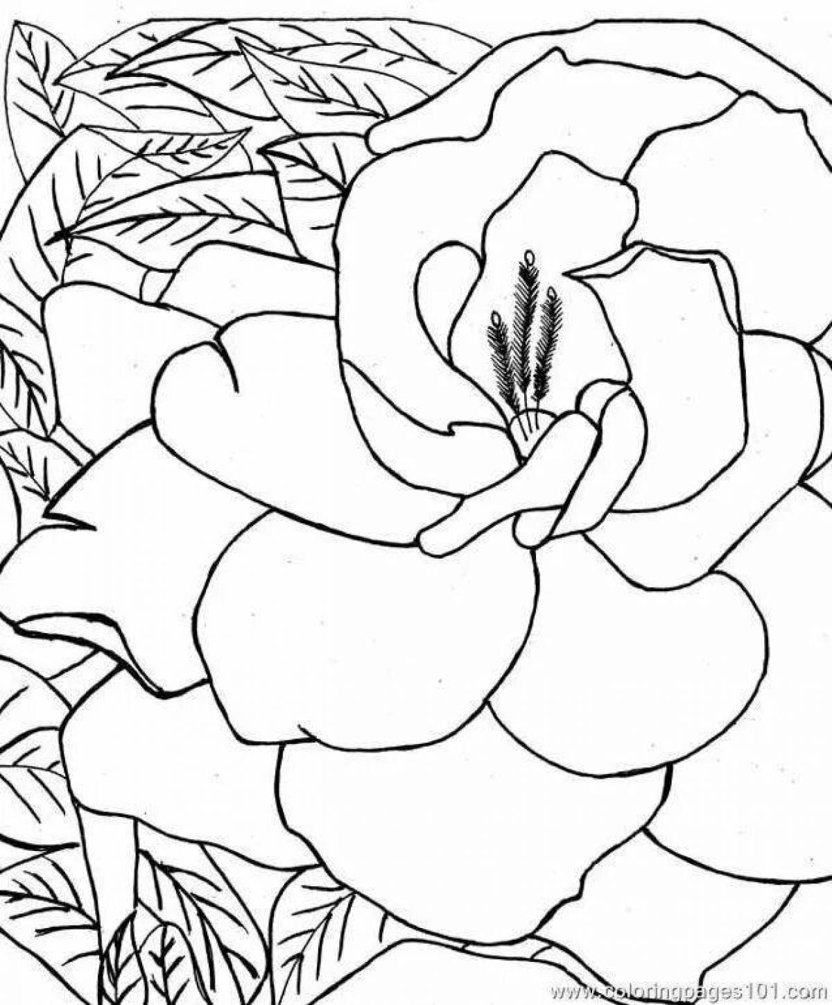 Coloring page magnificent stone flower