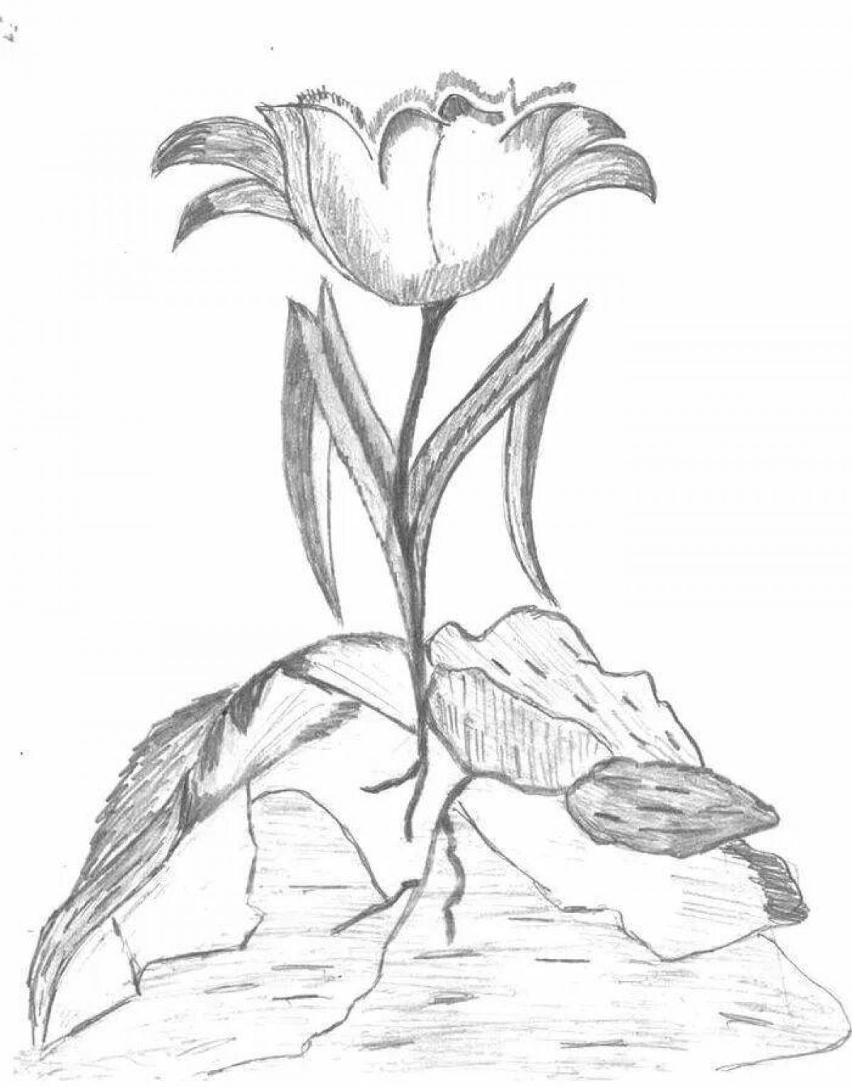 Exquisite stone flower coloring page