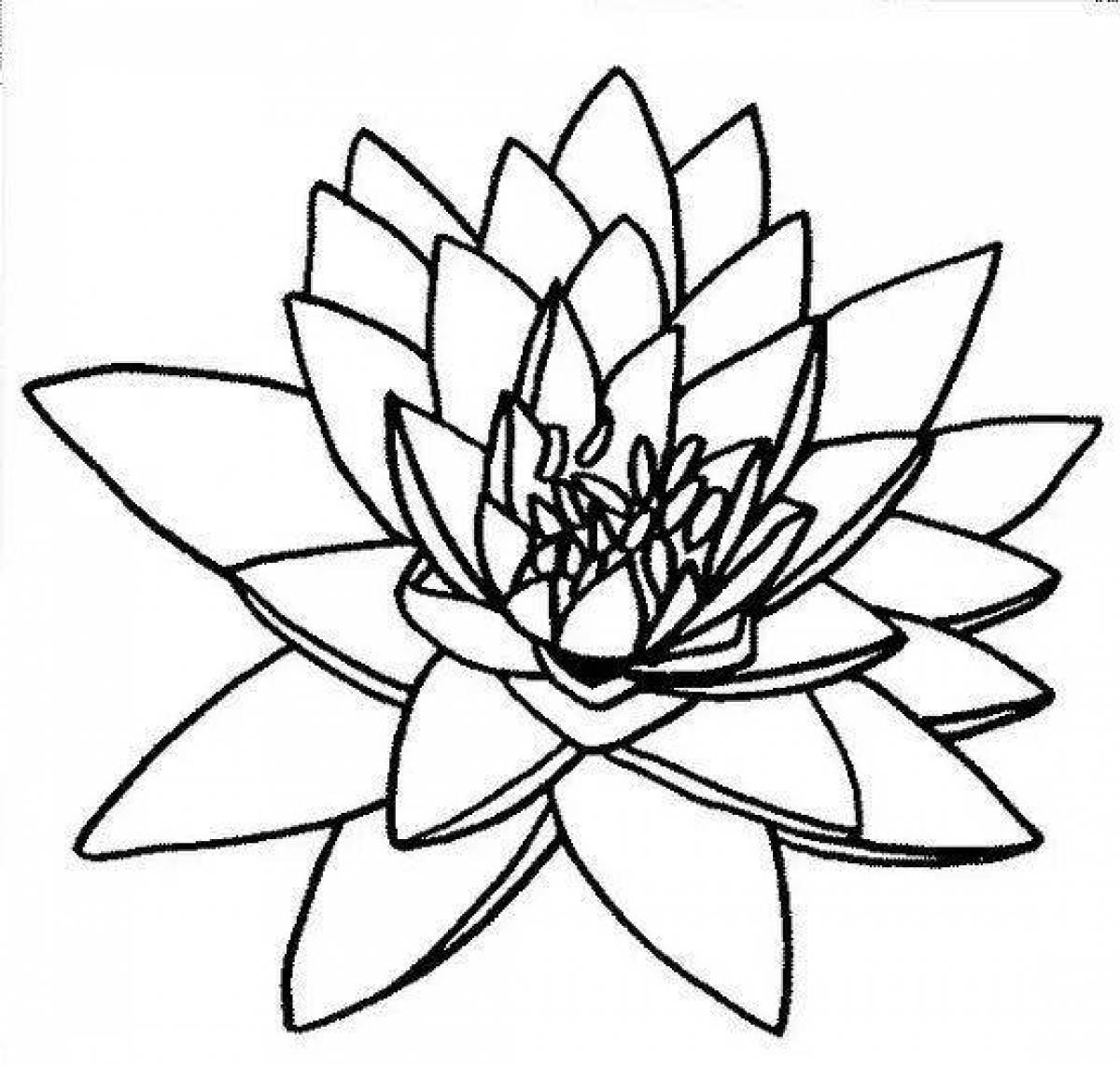 Cleaned stone flower coloring page