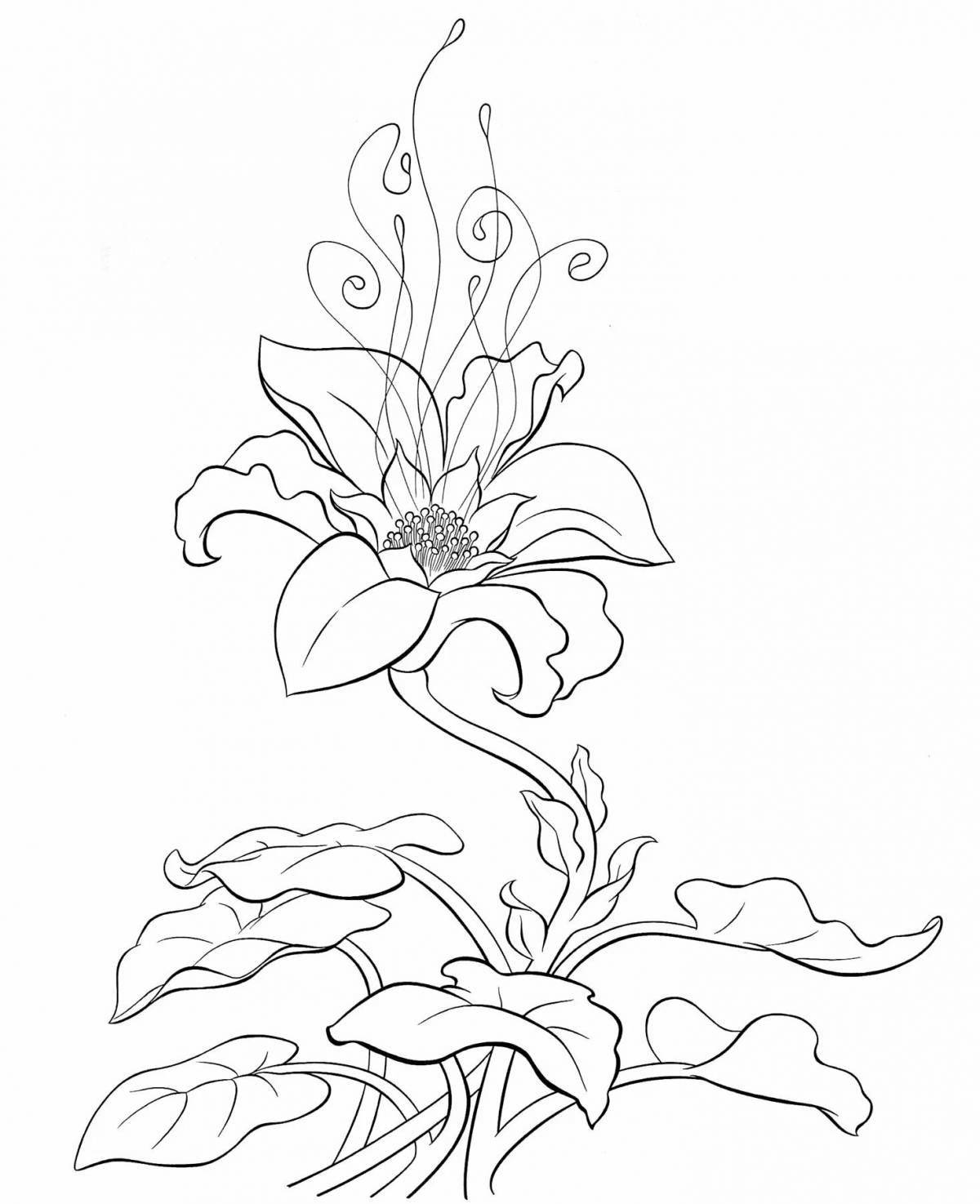 Coloring book poetic stone flower