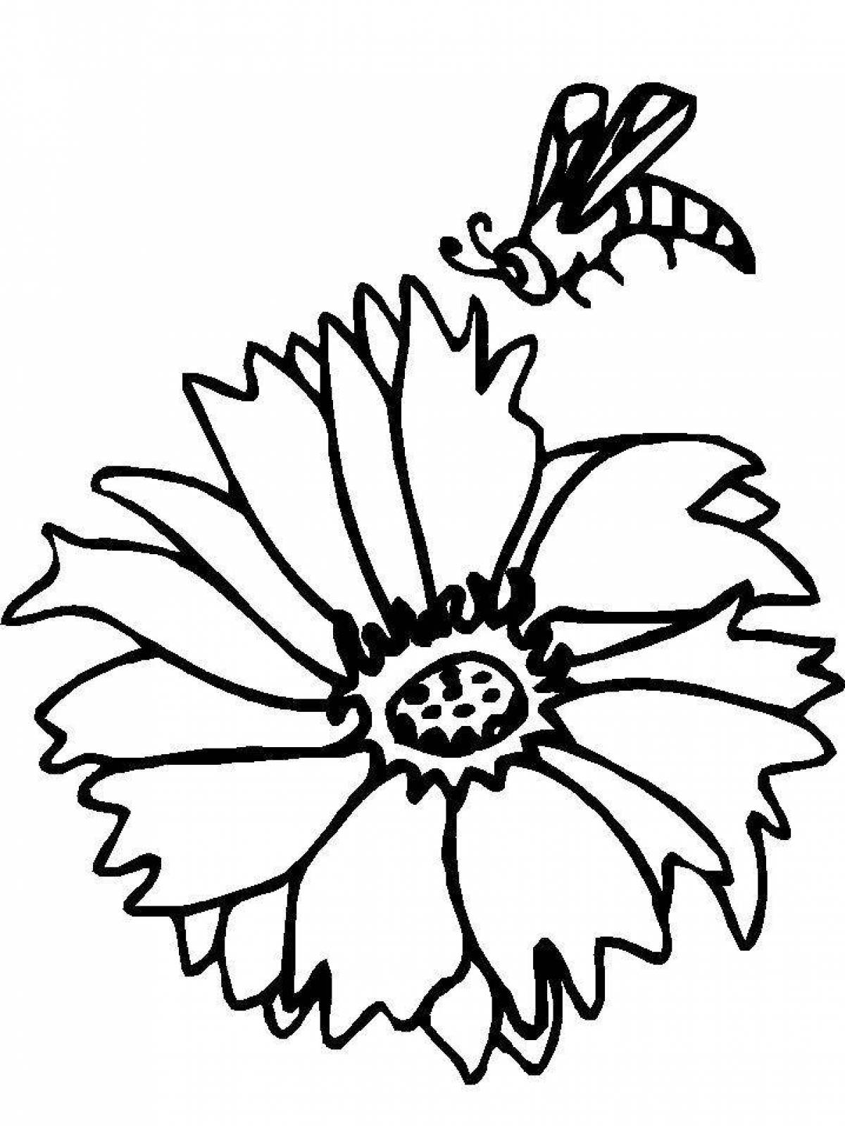 Веселая раскраска цветок василек