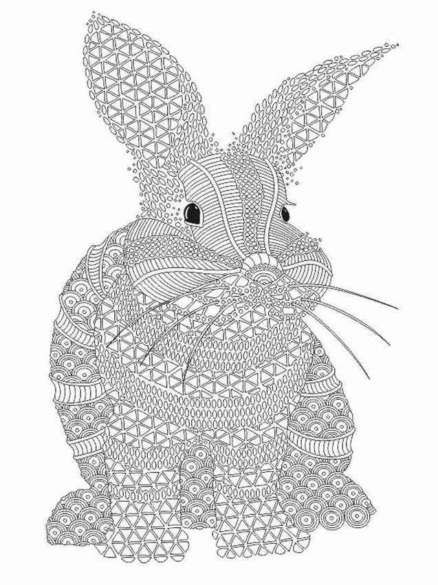 Playful anti-stress rabbit coloring book