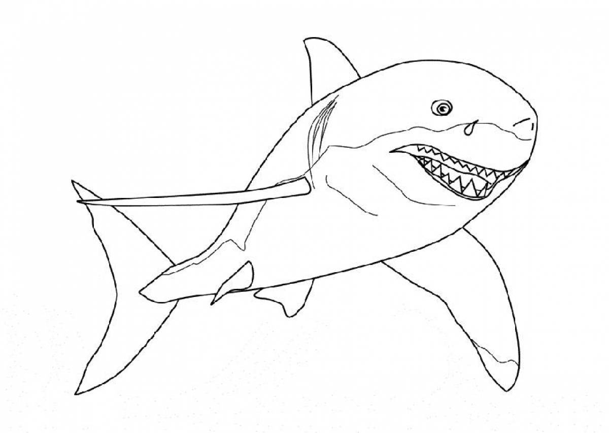 Акула раскраска для детей 3-4 лет