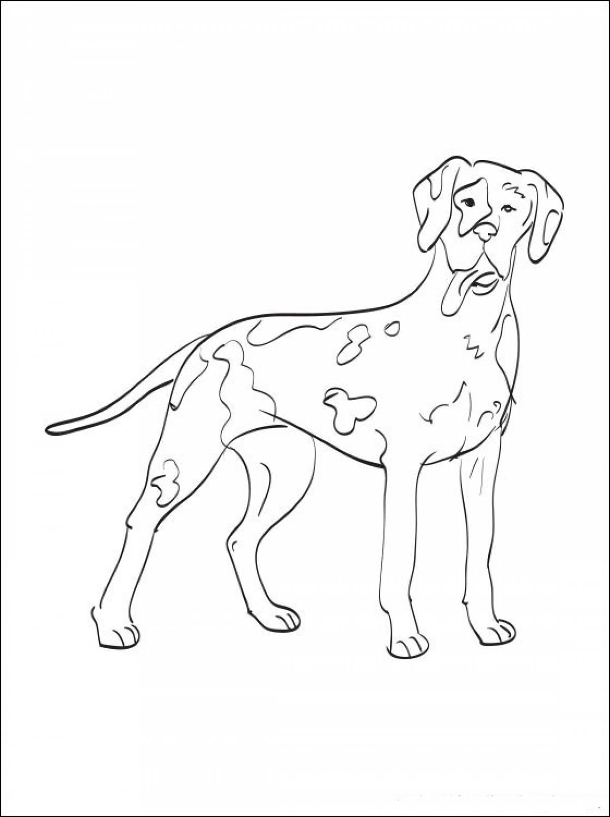 Как рисовать дог дея. Раскраска дог. Раскраска "собаки". Раскраски собаки породистые. Собака породы дог раскраска.
