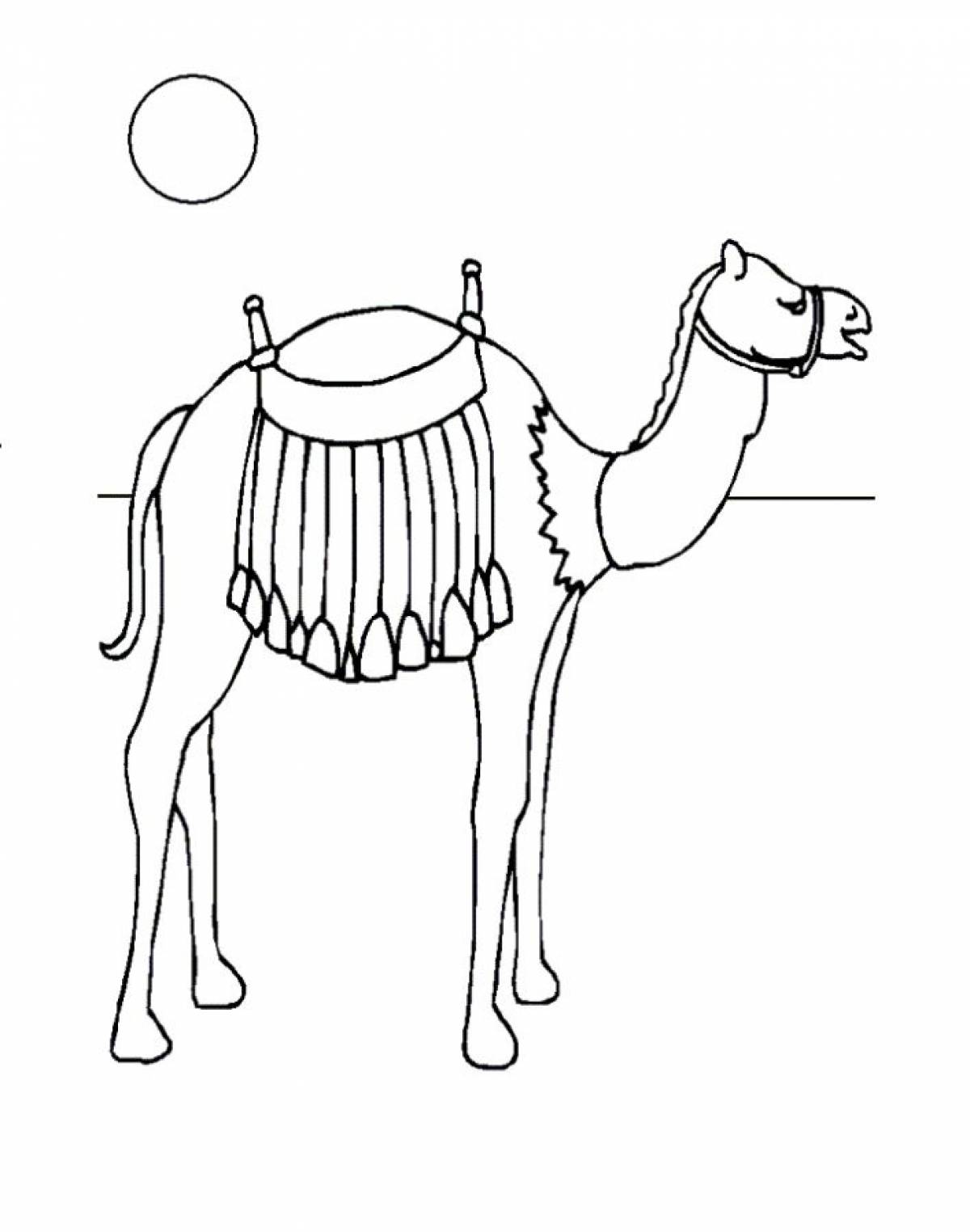 Верблюд раскраска. Верблюд раскраска для детей. Верблюд рисунок для детей. Верблюд карандашом.