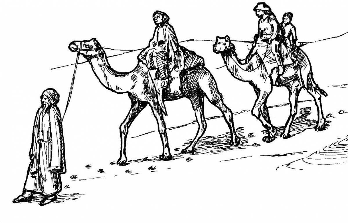 Раскраска верблюд в пустыне