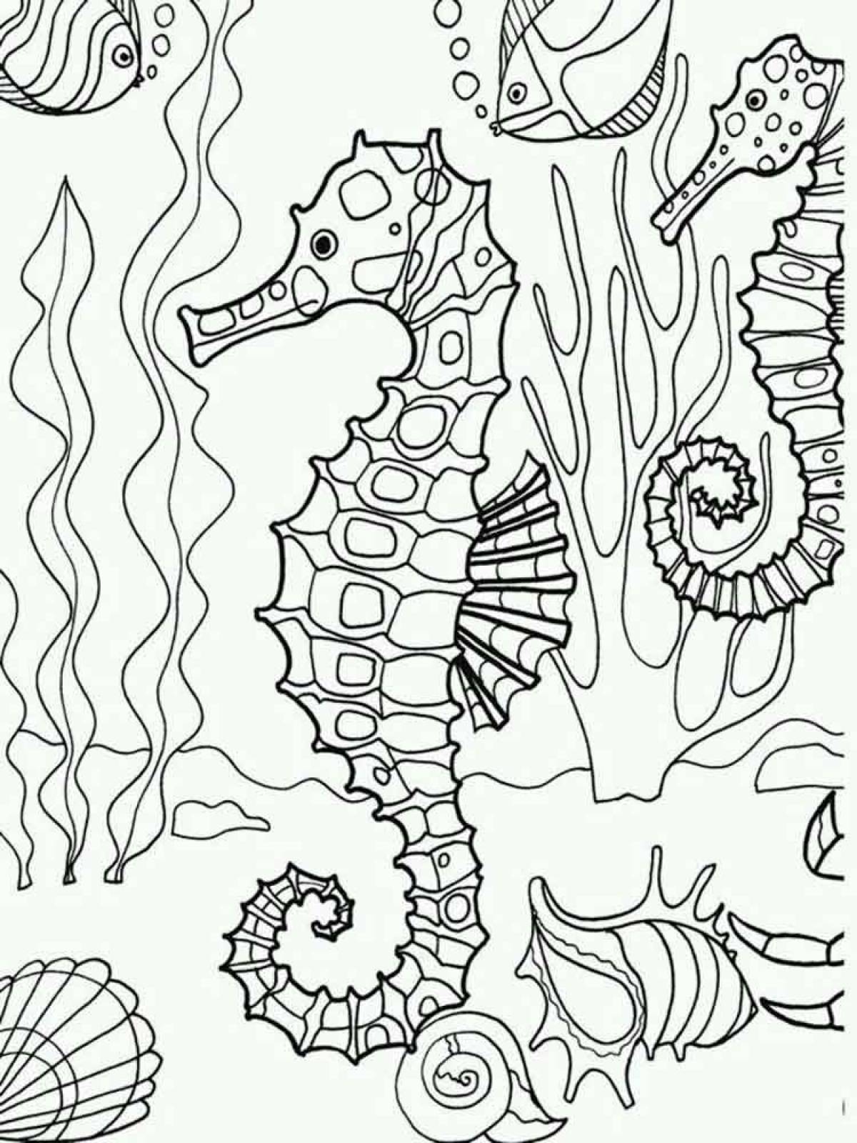 Photo Seahorse coloring page