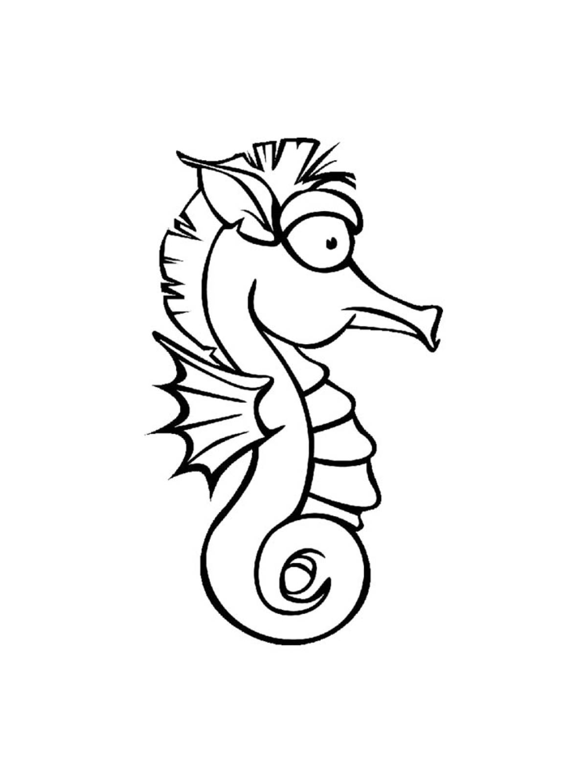 Photo Seahorse coloring pages