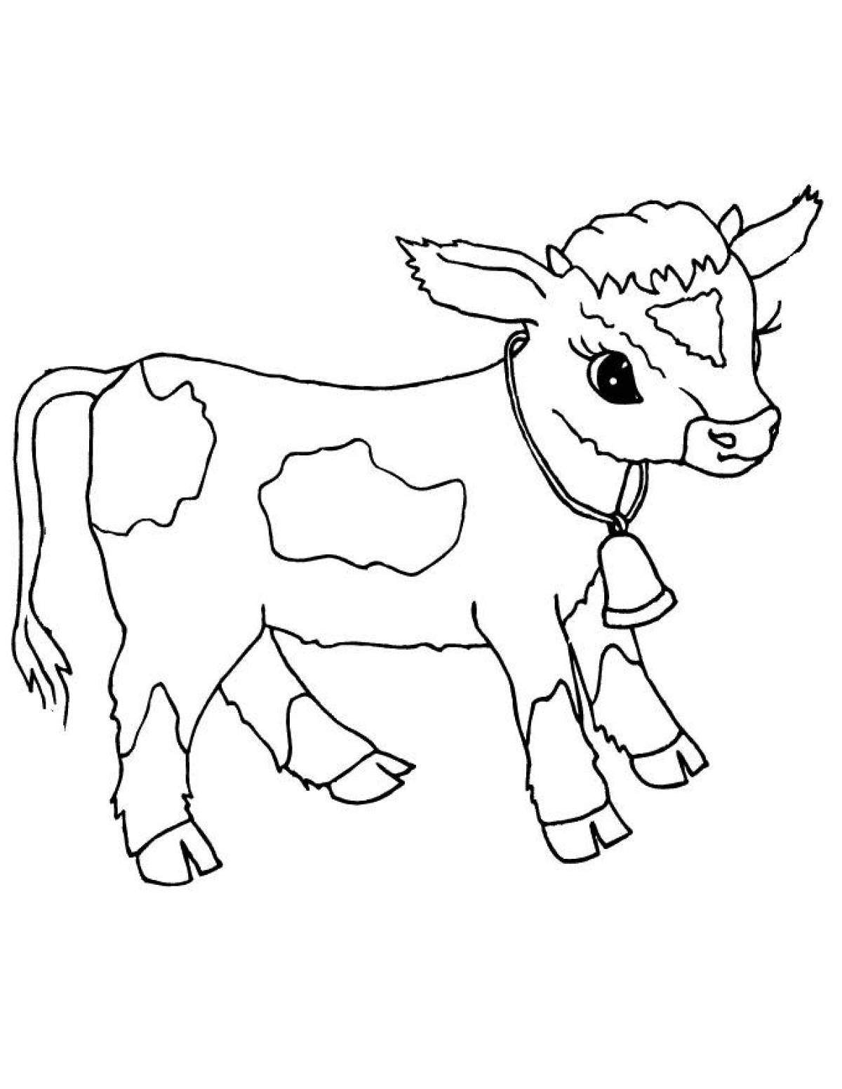 Calf with a bell