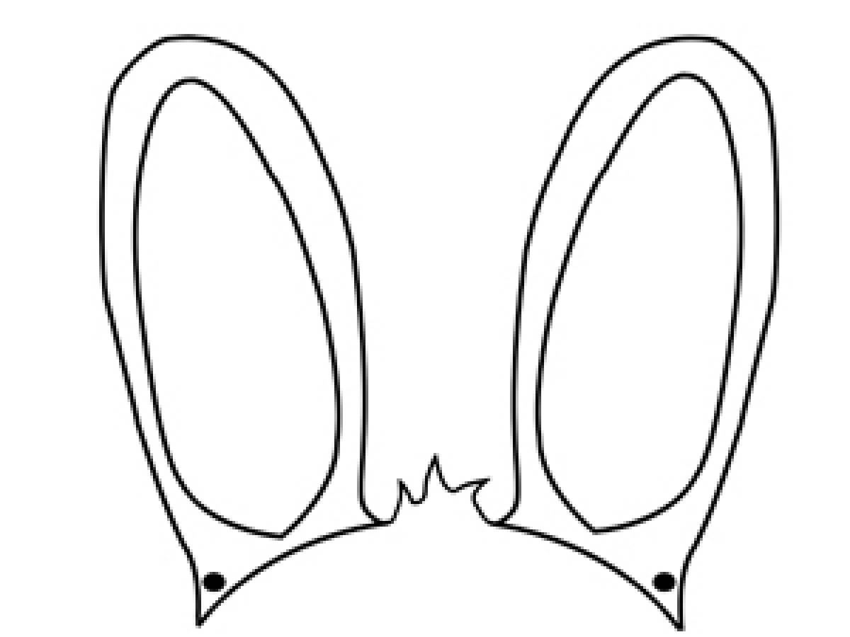Раскраска Пасхальный кролик прижал уши