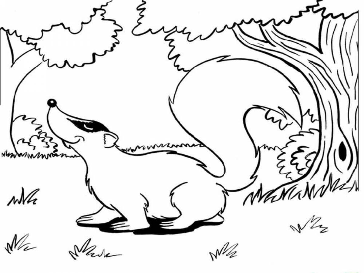 Photo Badger coloring page