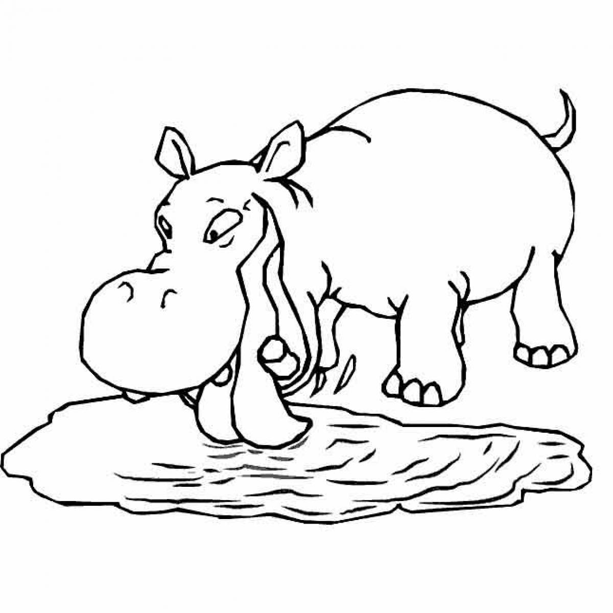 Photo Hippo coloring page