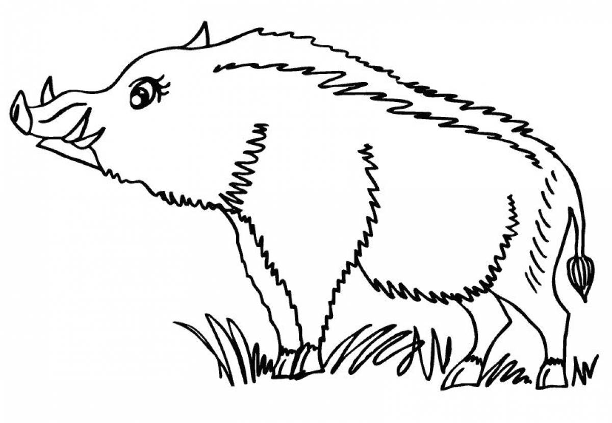 Photo Boar coloring page