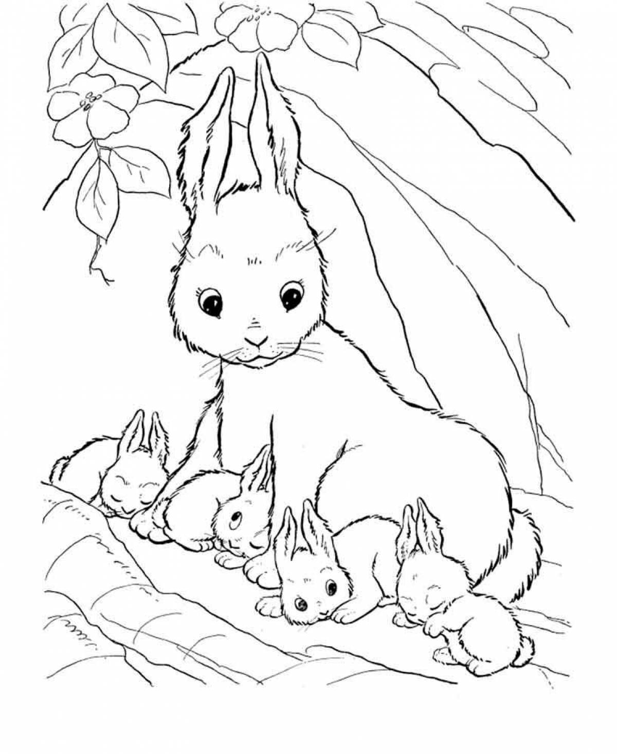 Photo Bunny coloring page