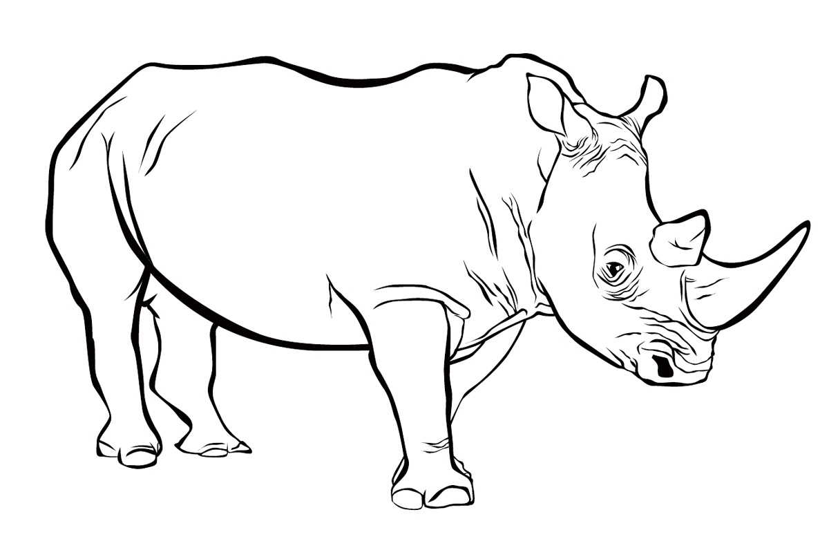 Photo Rhino coloring page